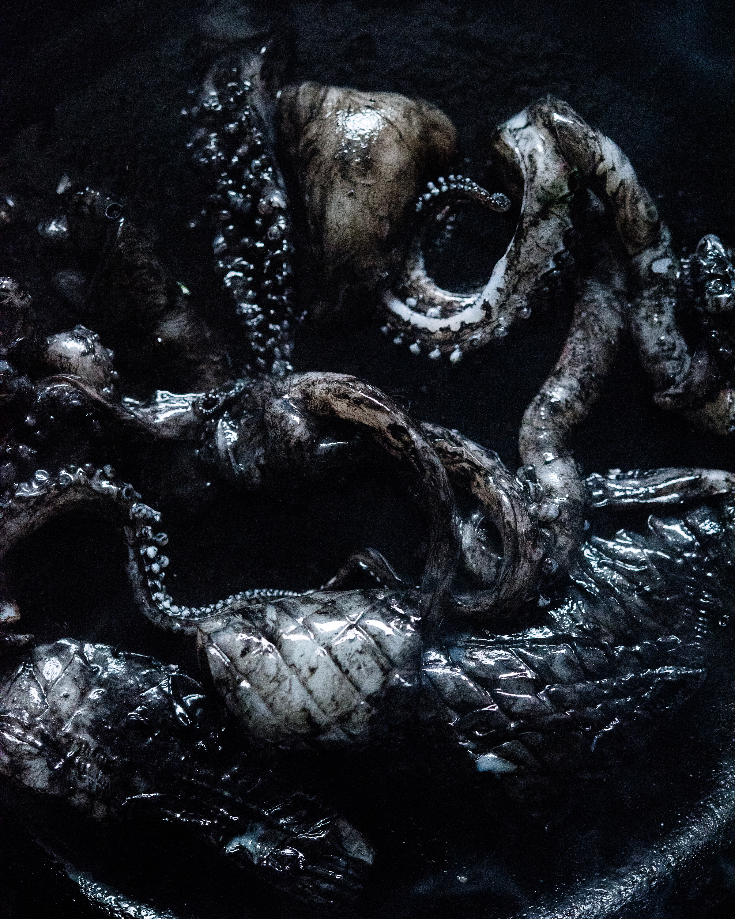 The Collective Force - Josh Griggs