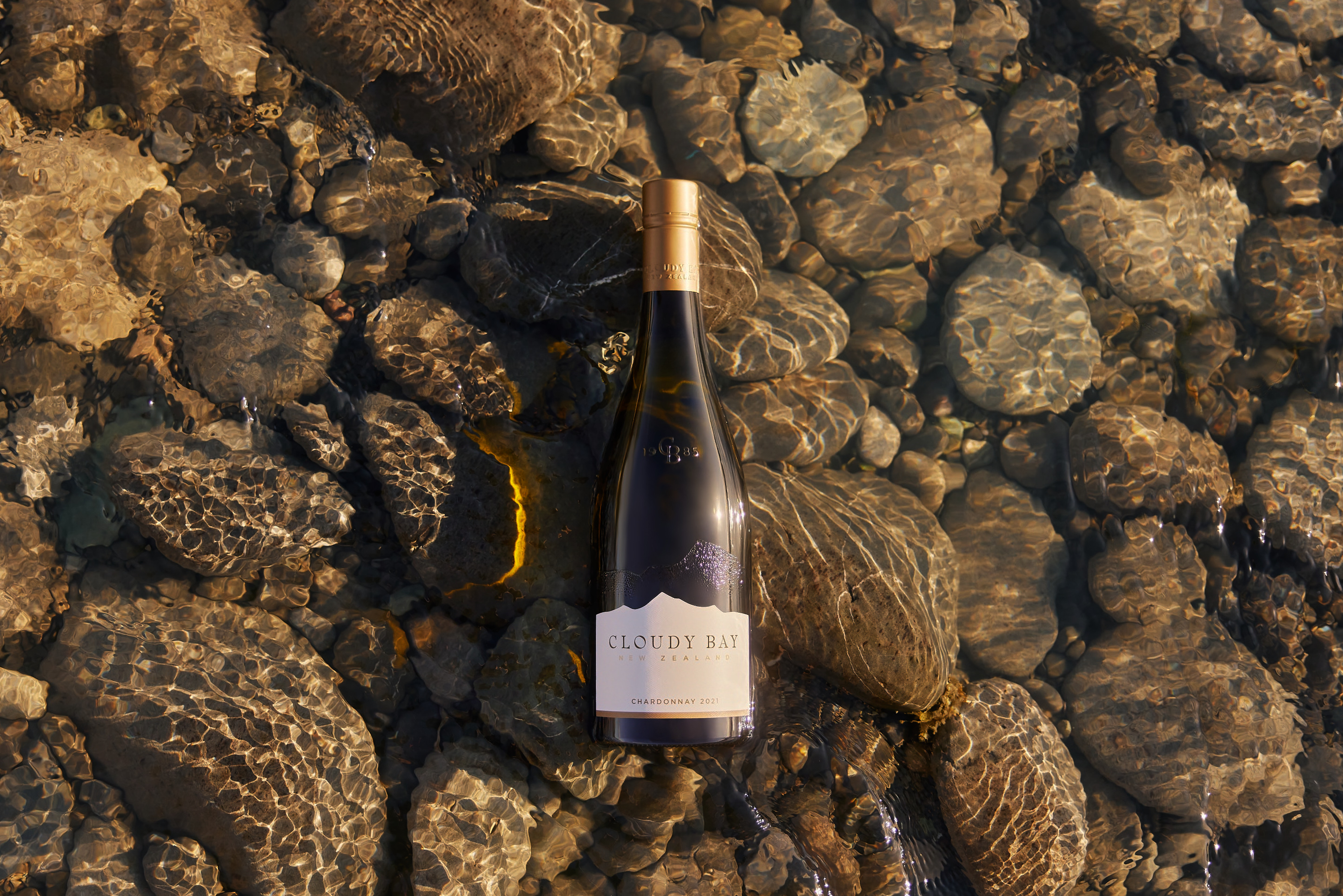 The Collective Force - Josh Griggs