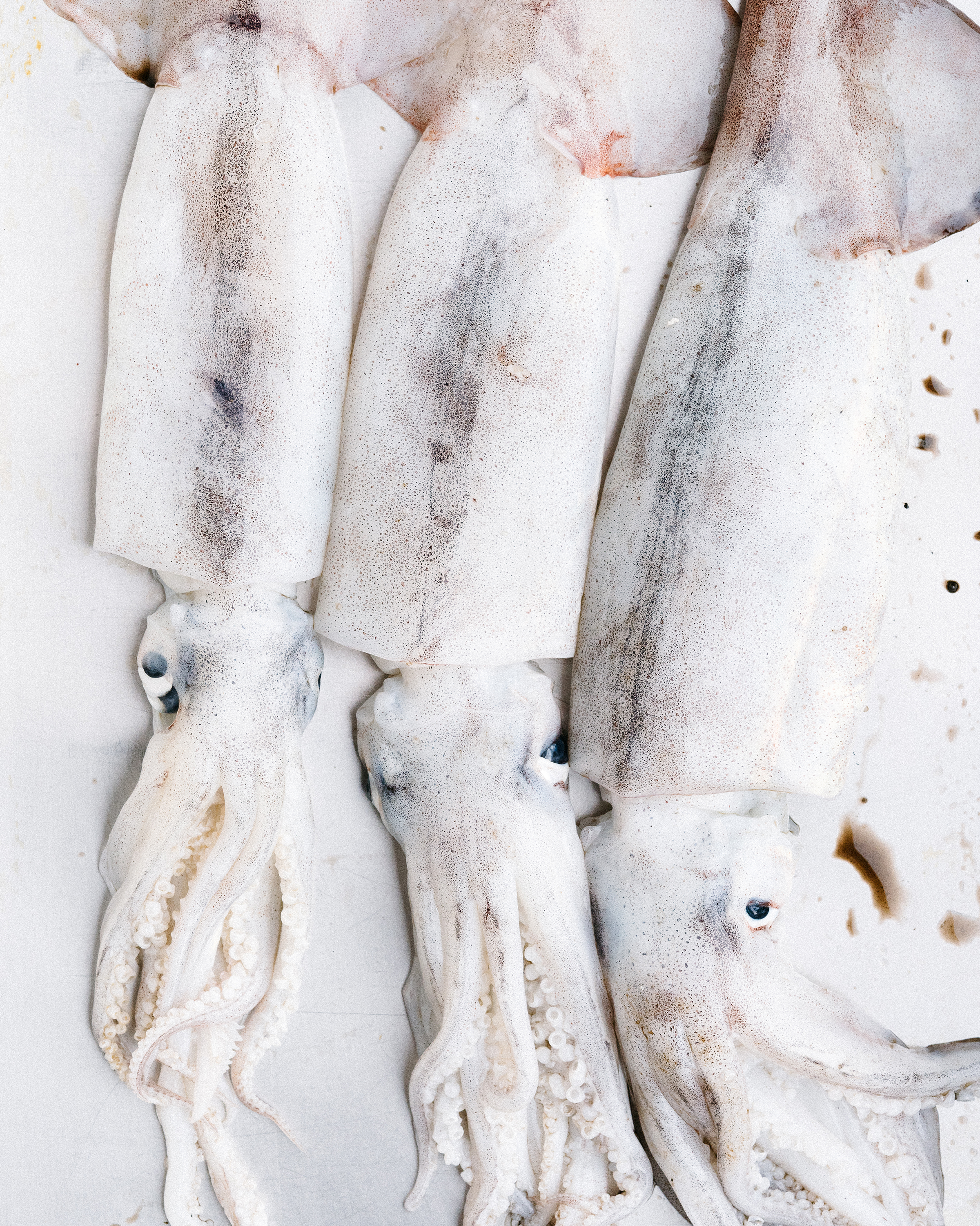 The Collective Force - Josh Griggs