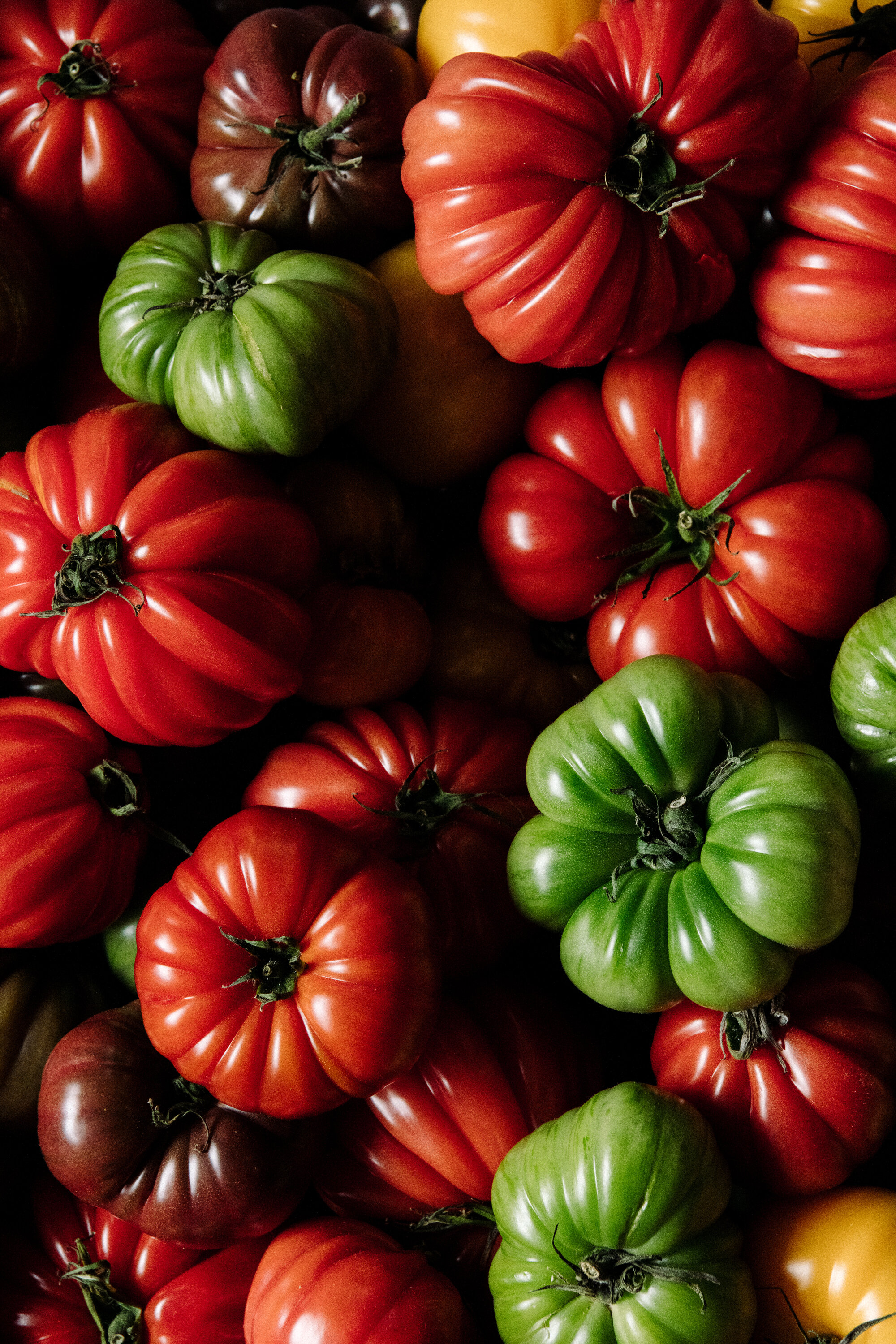 The Collective Force - Josh Griggs