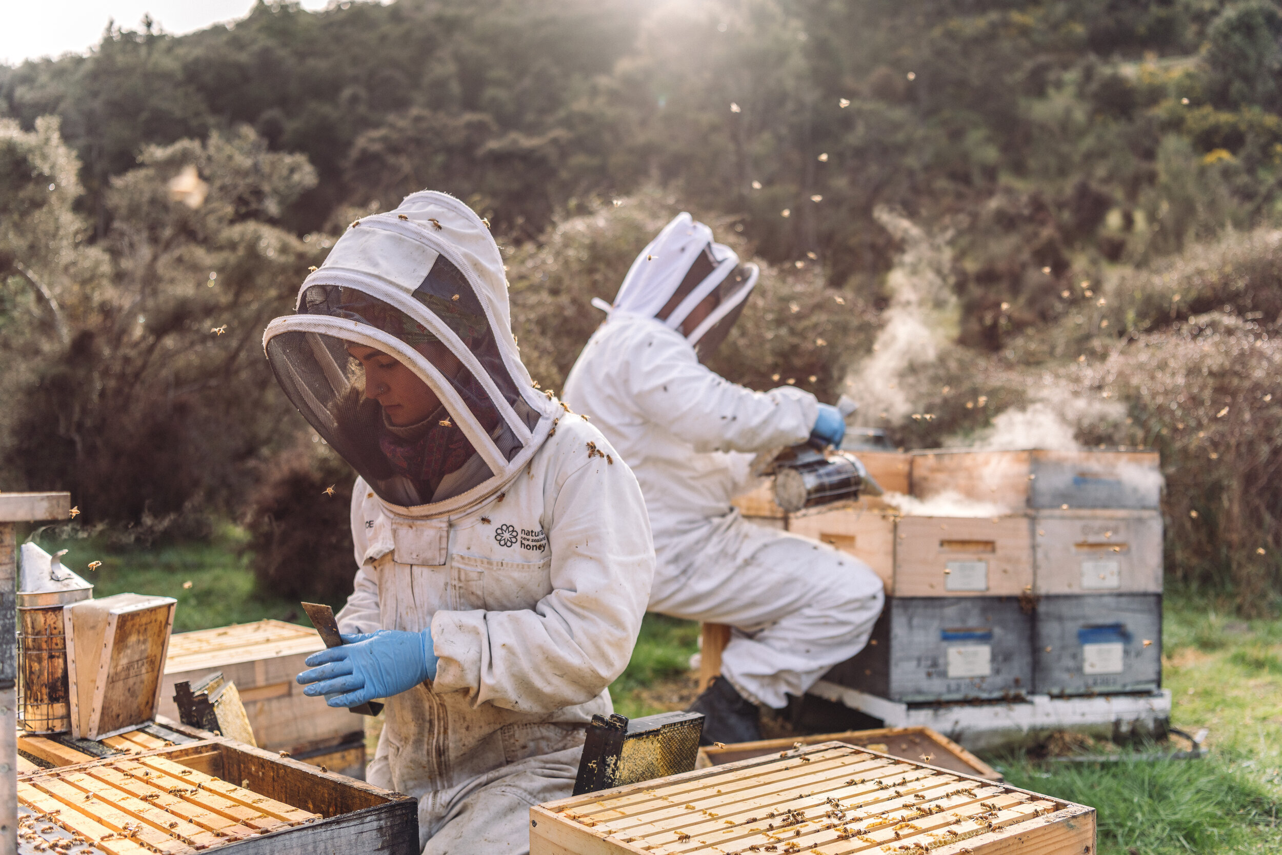 The Collective Force - Foothills Honey