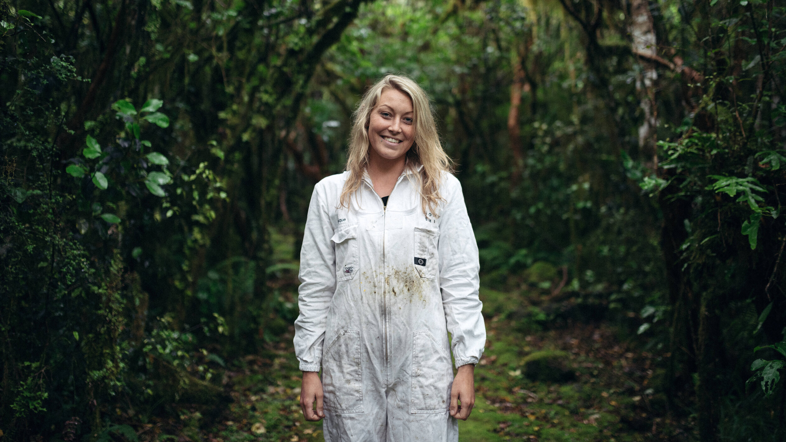 The Collective Force - Foothills Honey