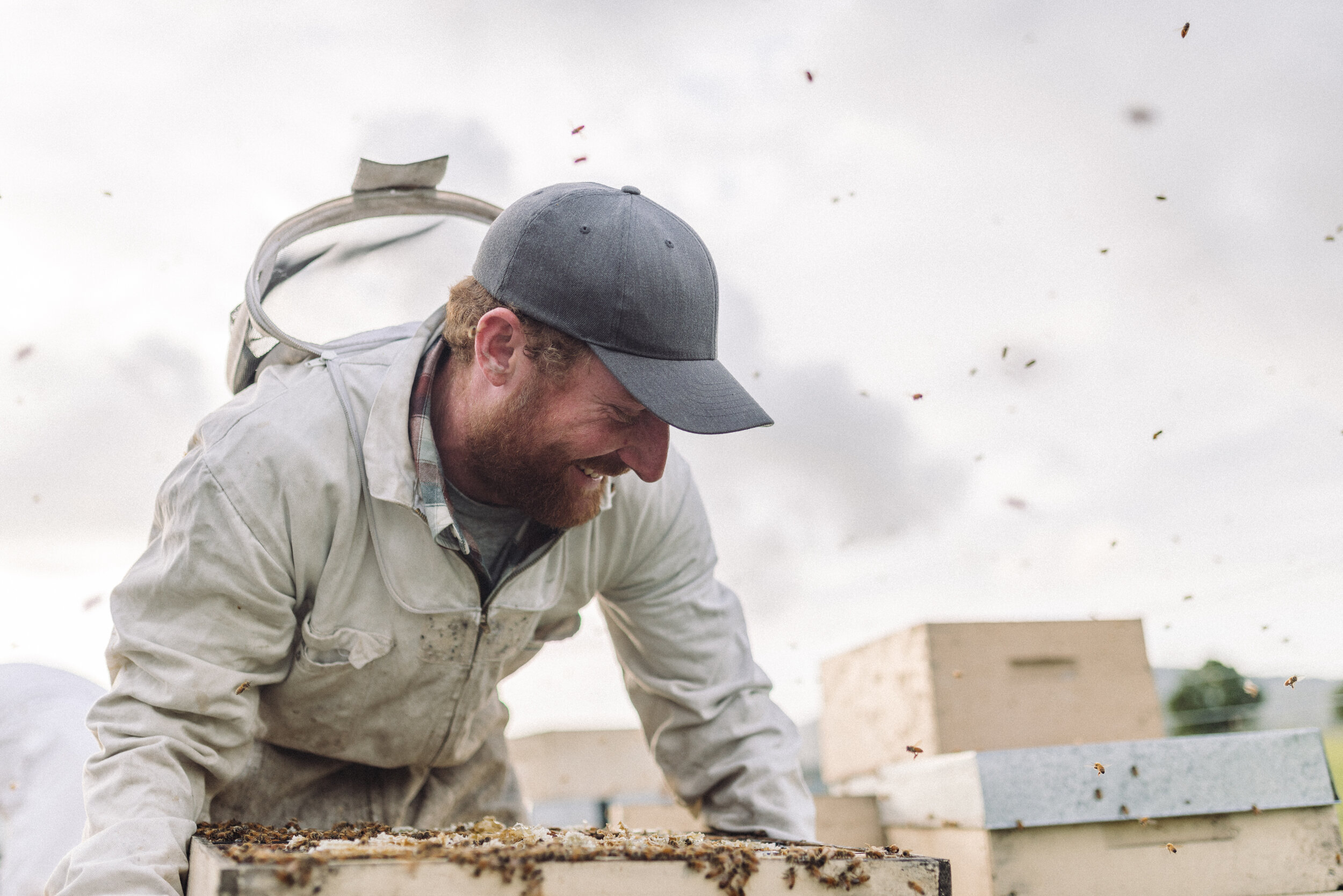 The Collective Force - Foothills Honey