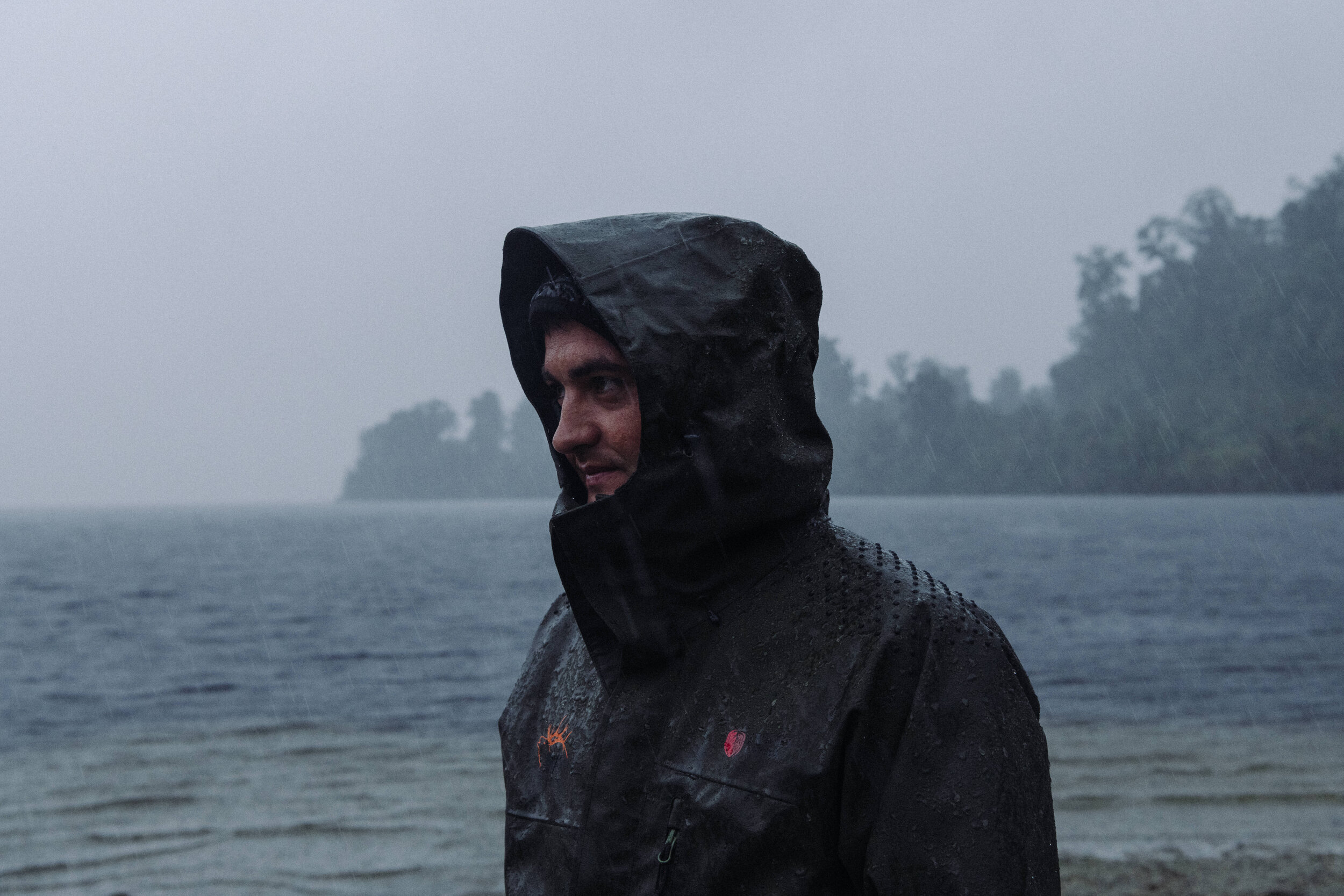 The Collective Force - Foothills Honey