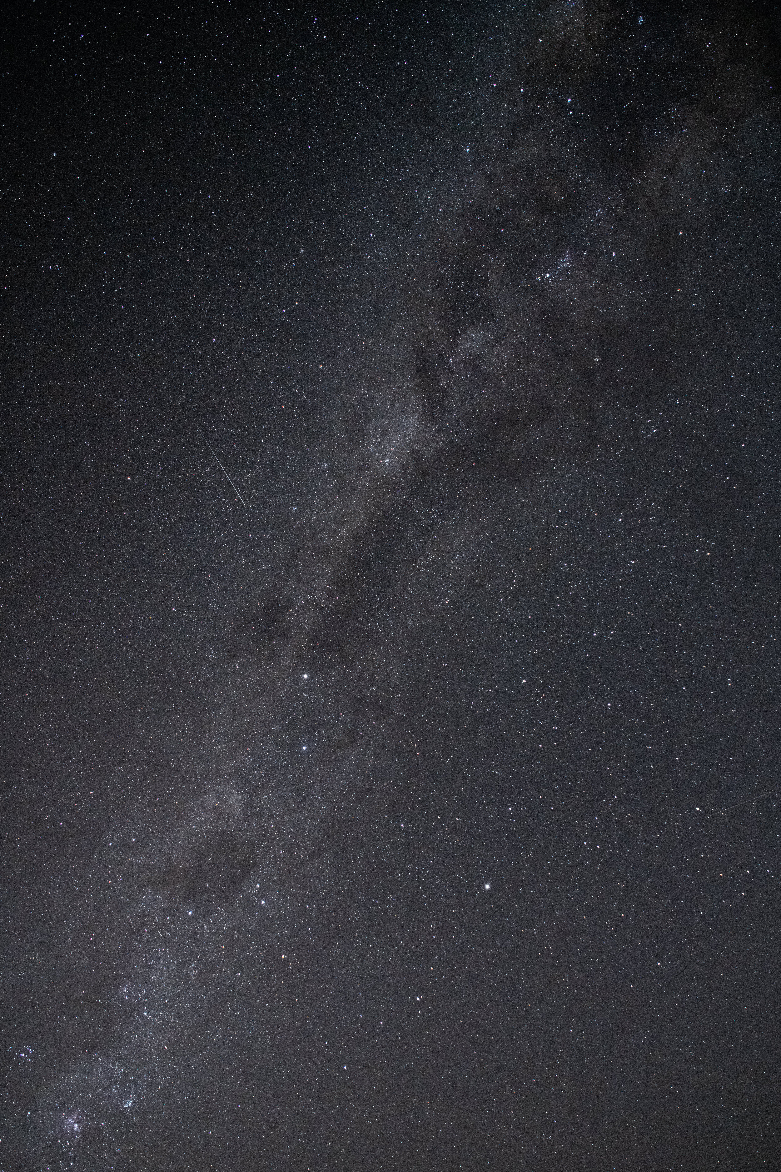 The Collective Force - Foothills Honey