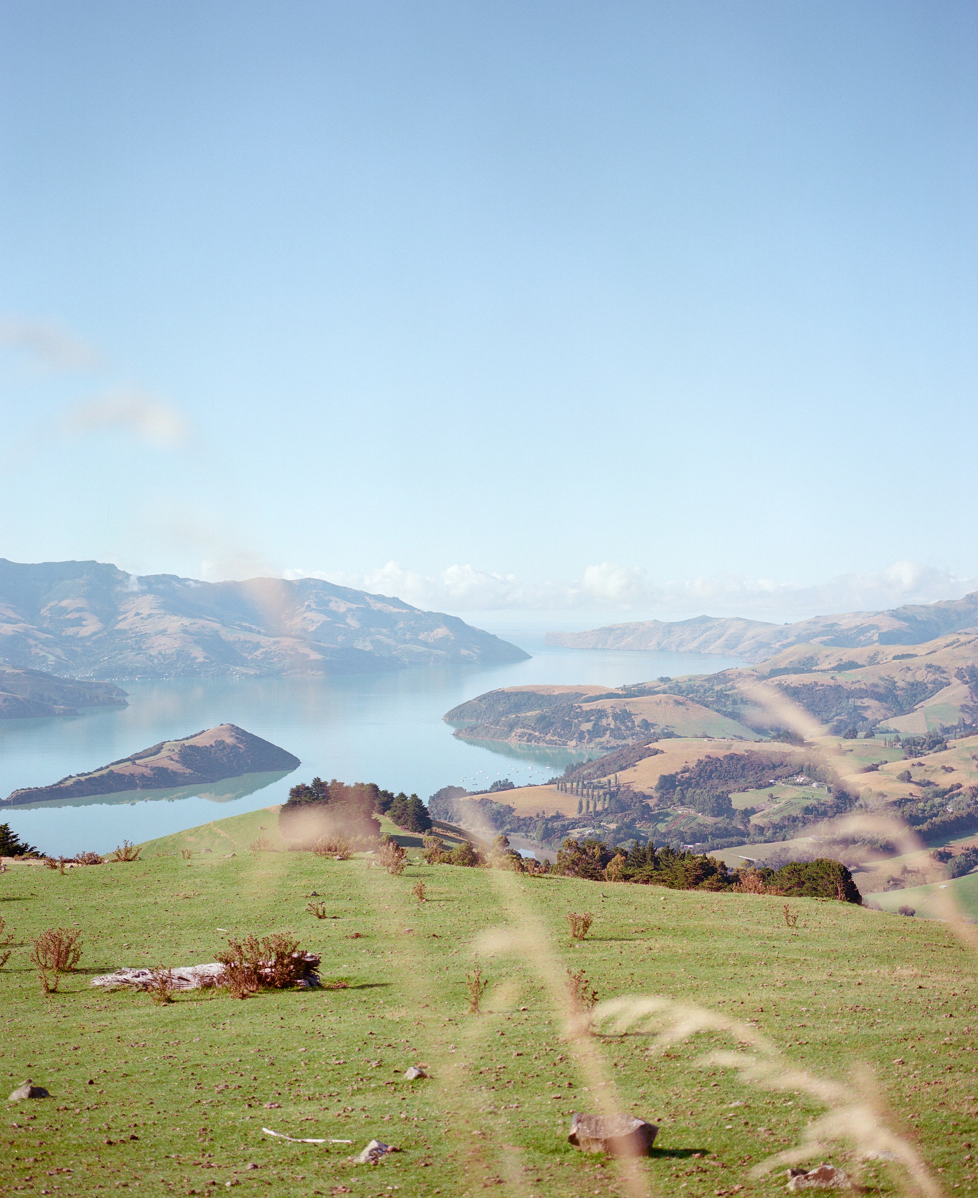 The Collective Force - Josh Griggs