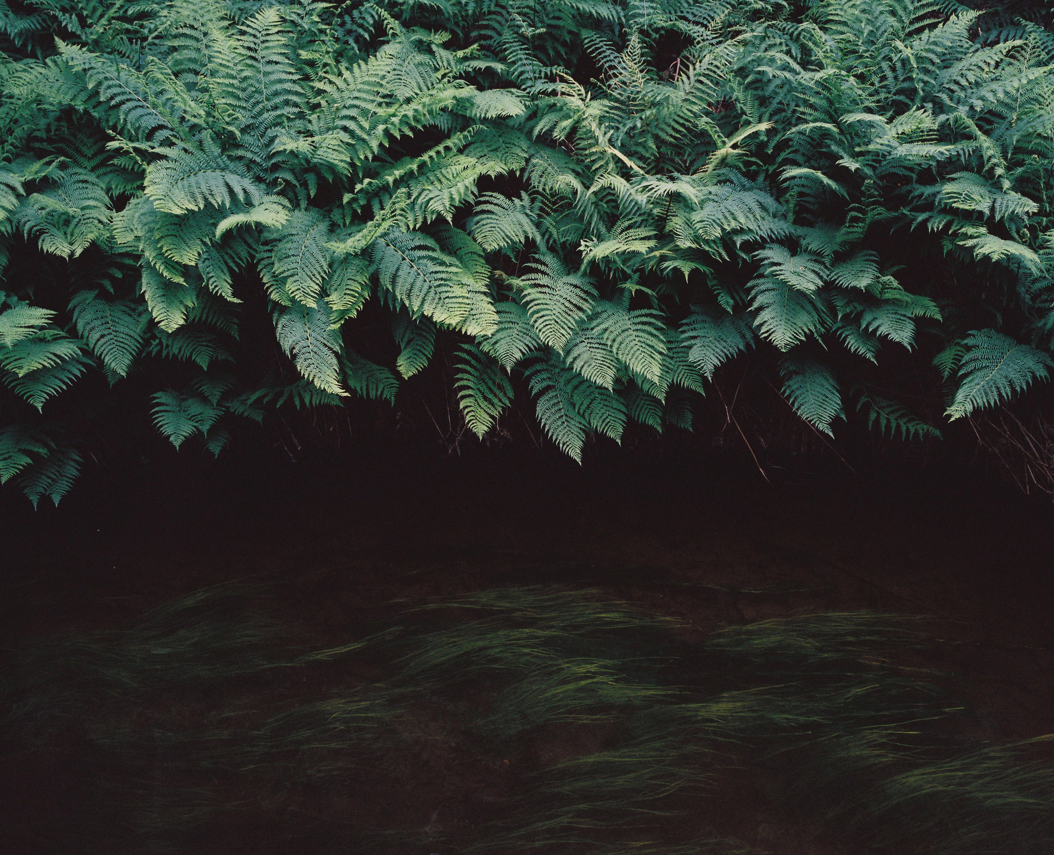 The Collective Force - Josh Griggs