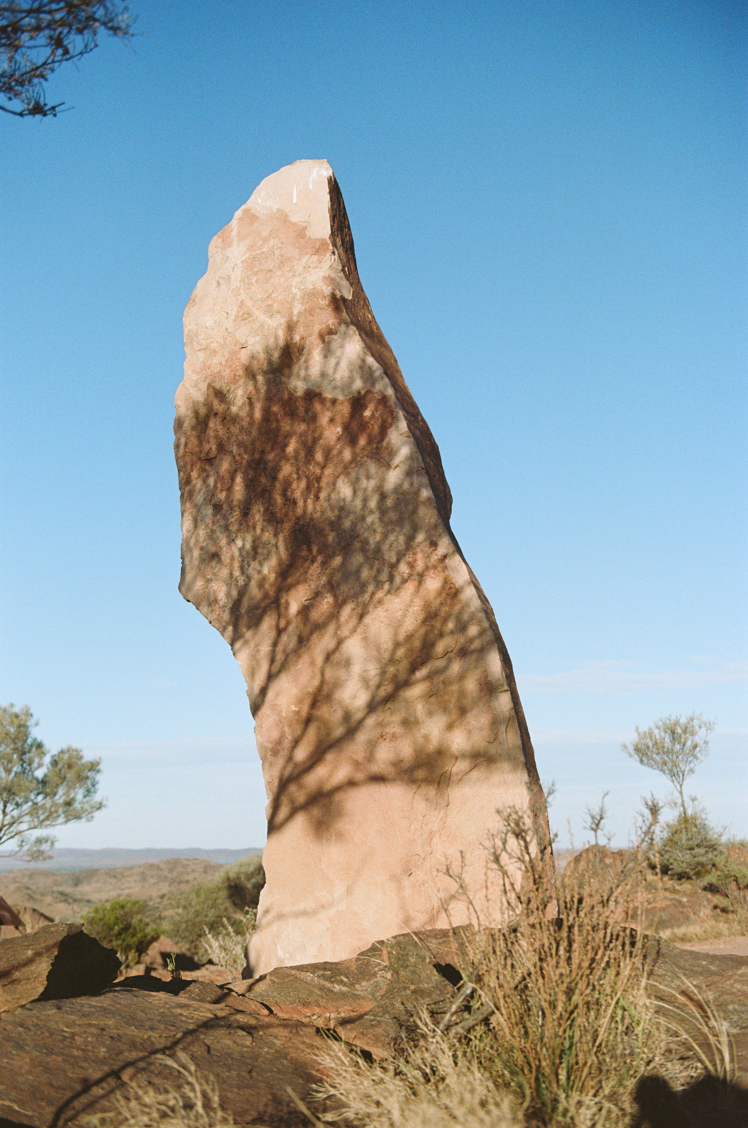 The Collective Force - Josh Griggs