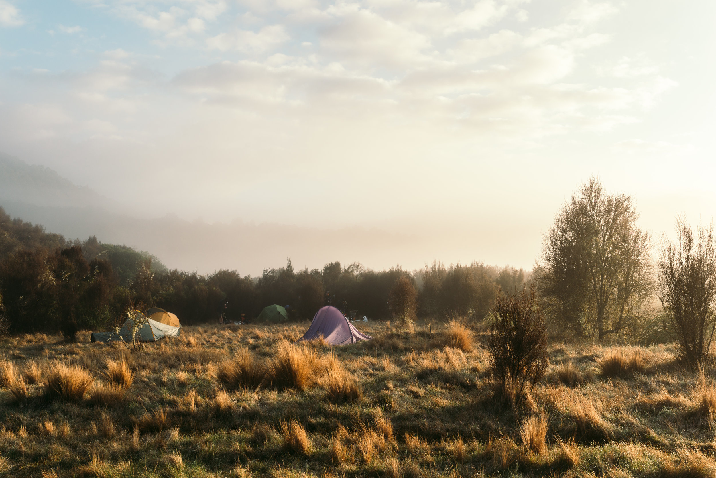 The Collective Force - Josh Griggs