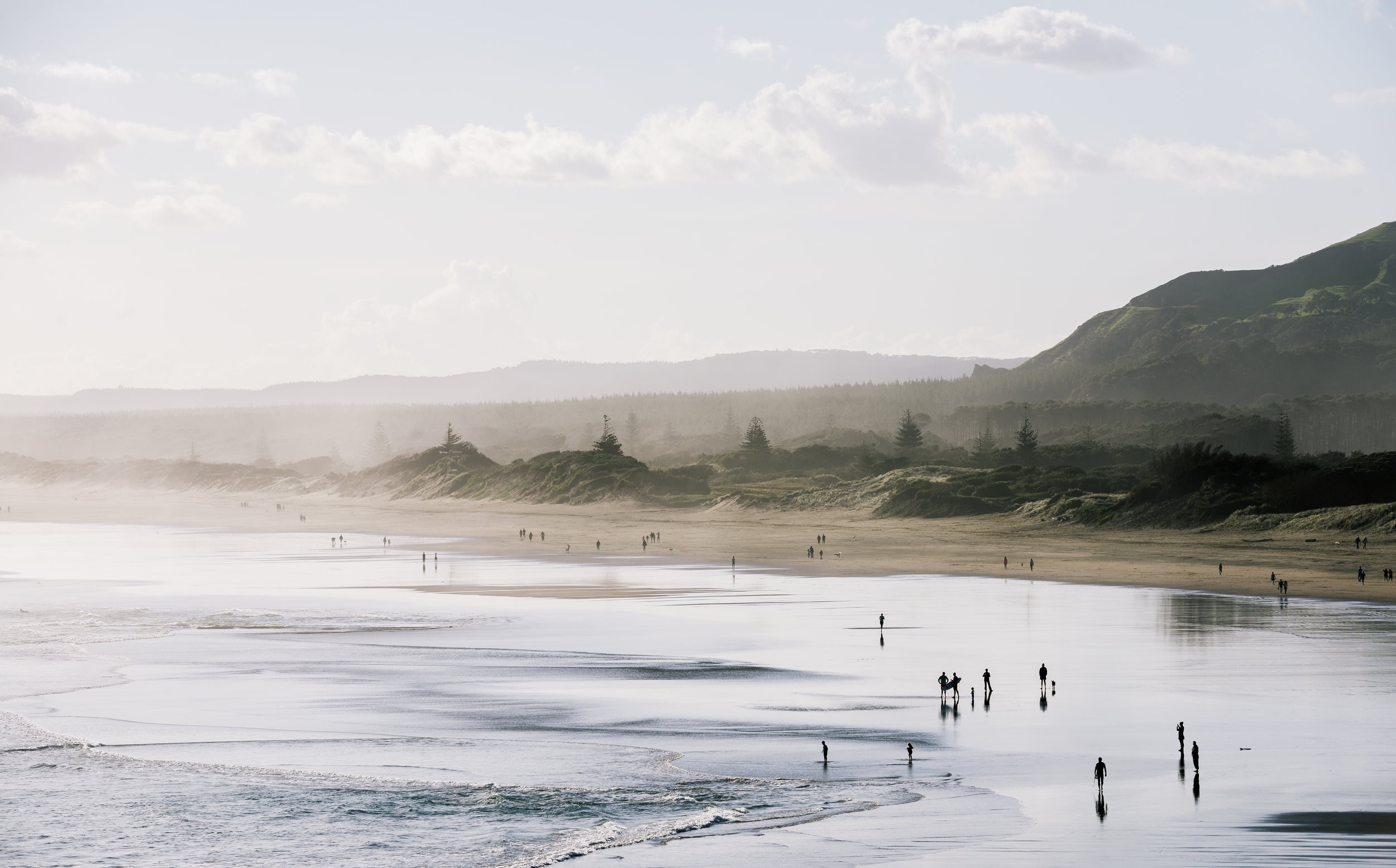 The Collective Force - Josh Griggs