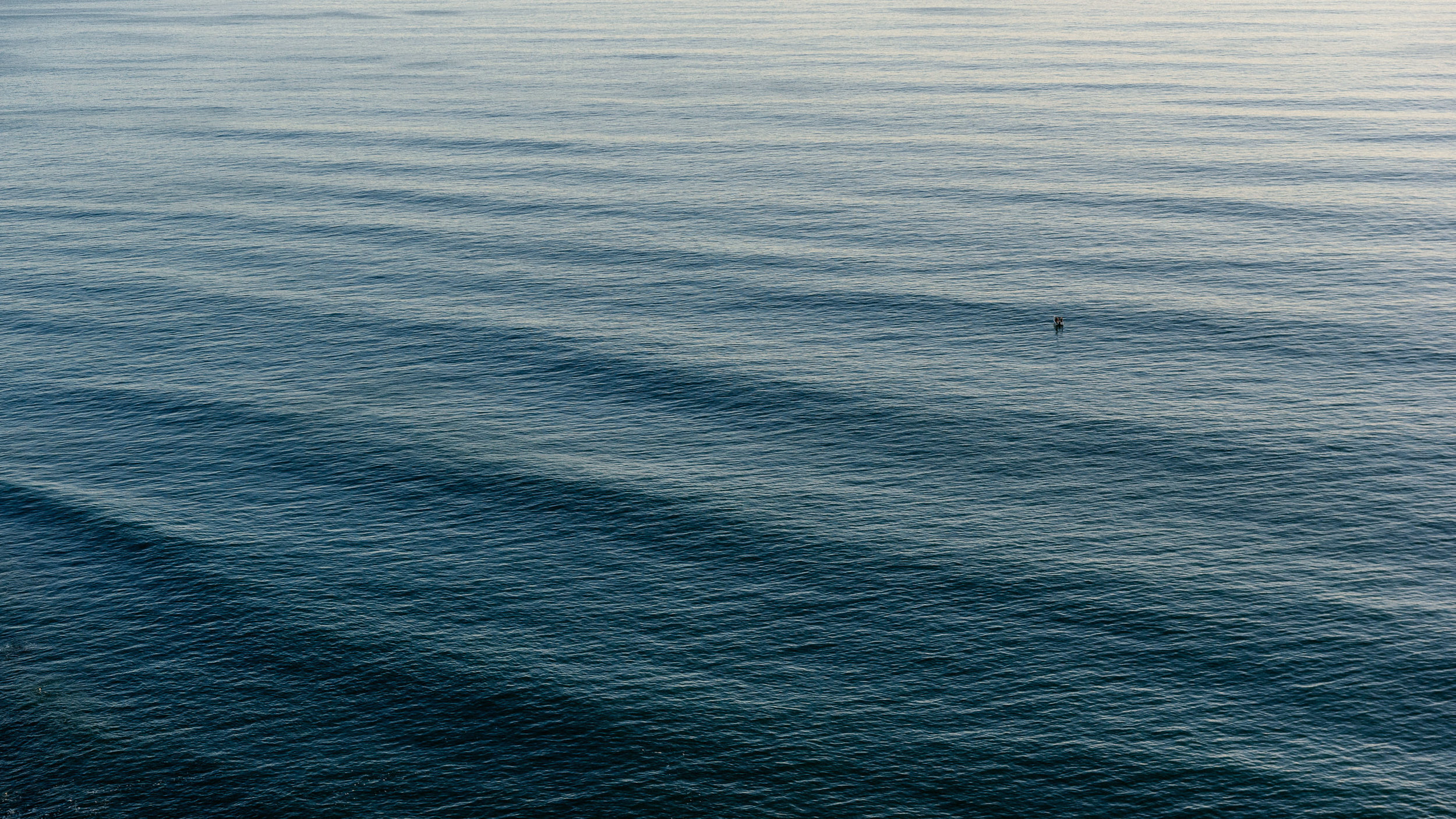 The Collective Force - Josh Griggs