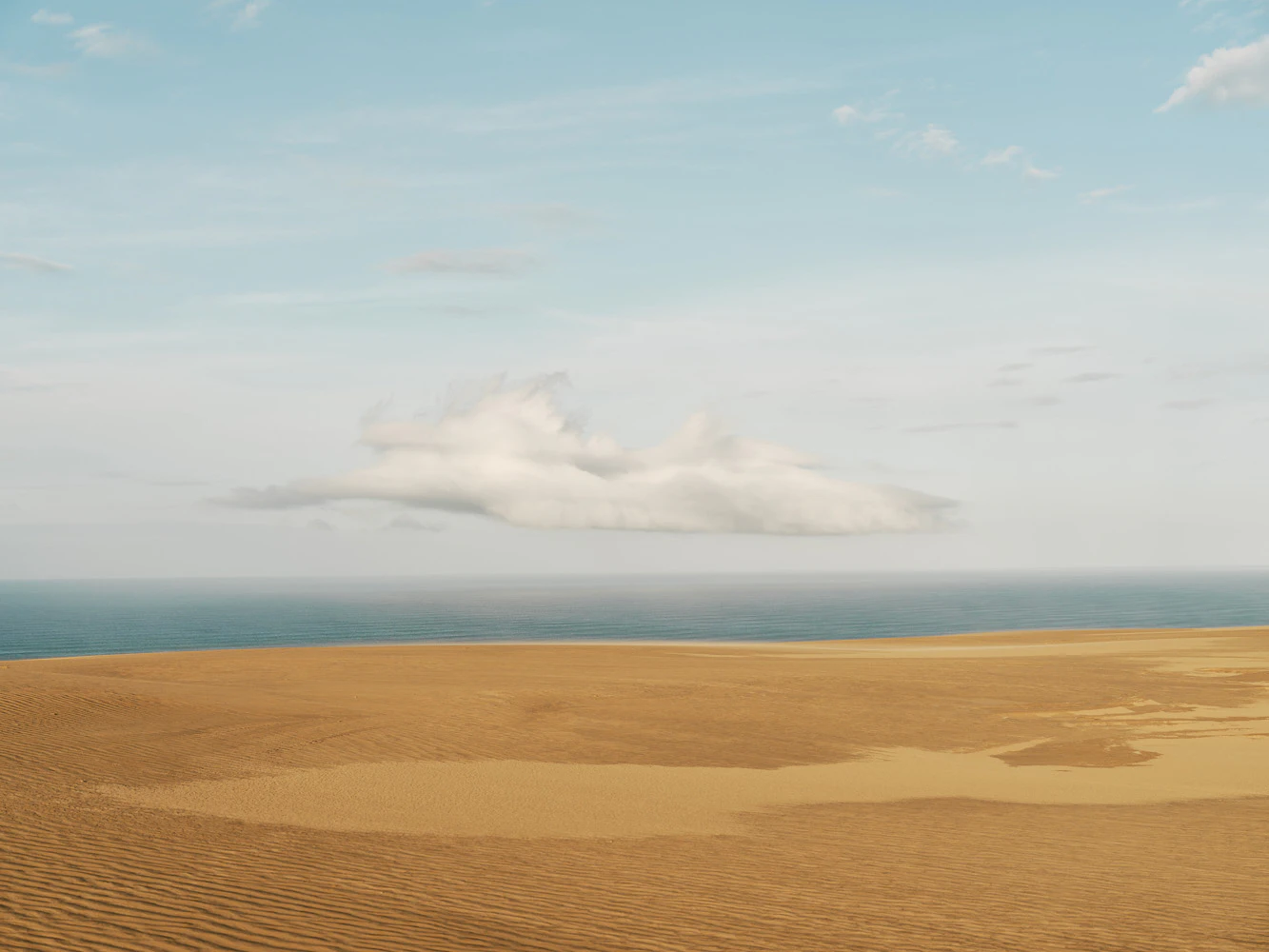 The Collective Force - Landscape