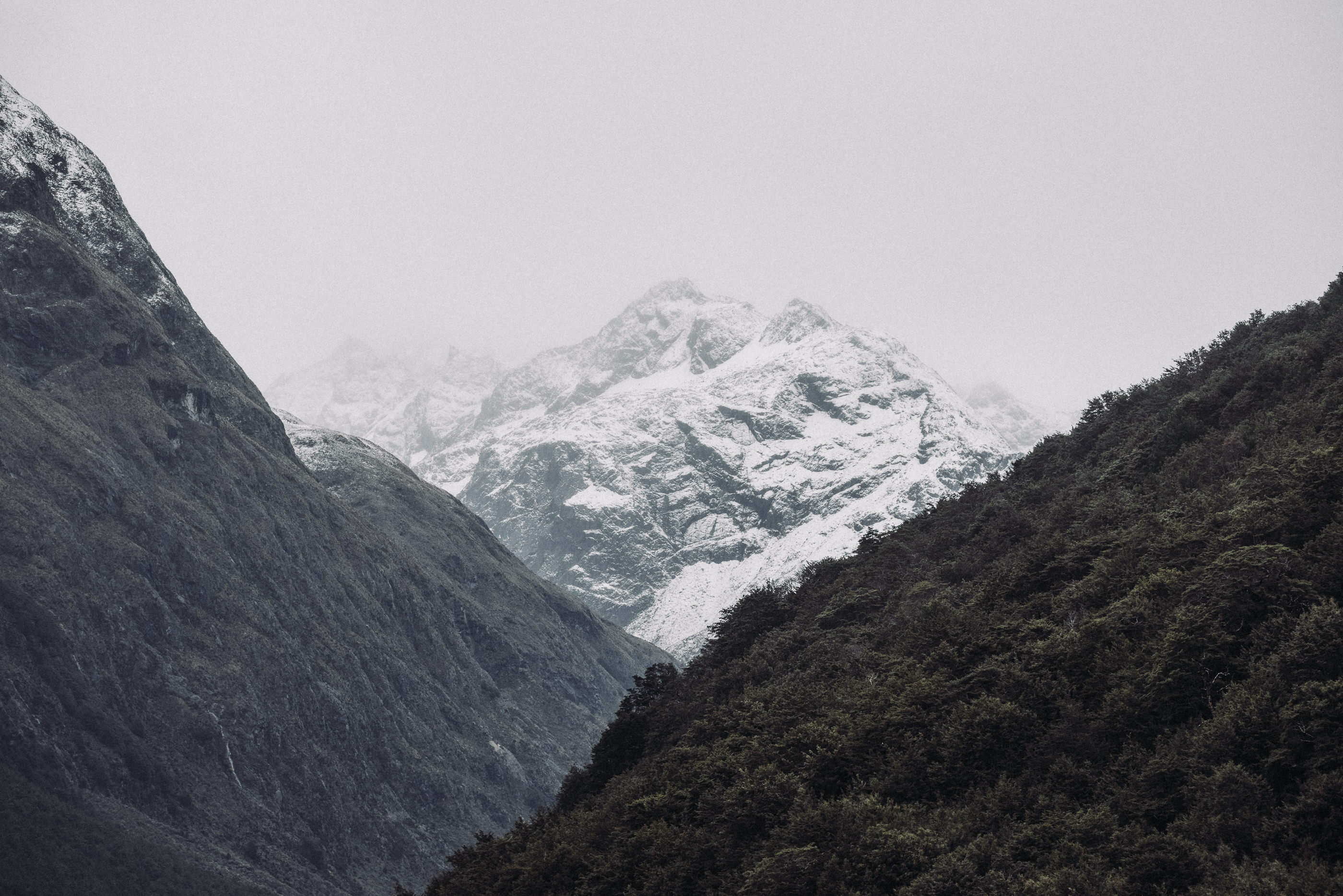 The Collective Force - Josh Griggs