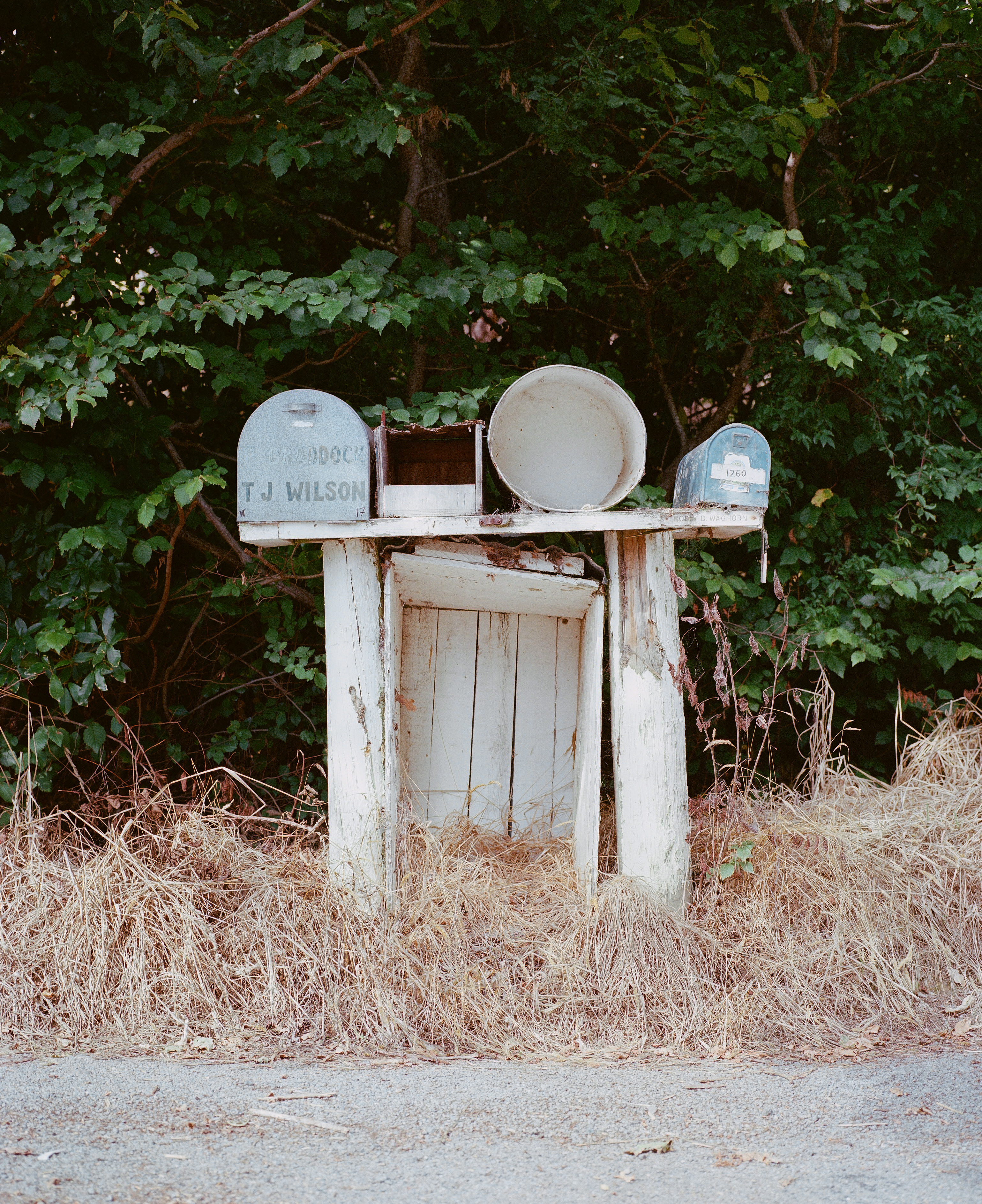 The Collective Force - Josh Griggs