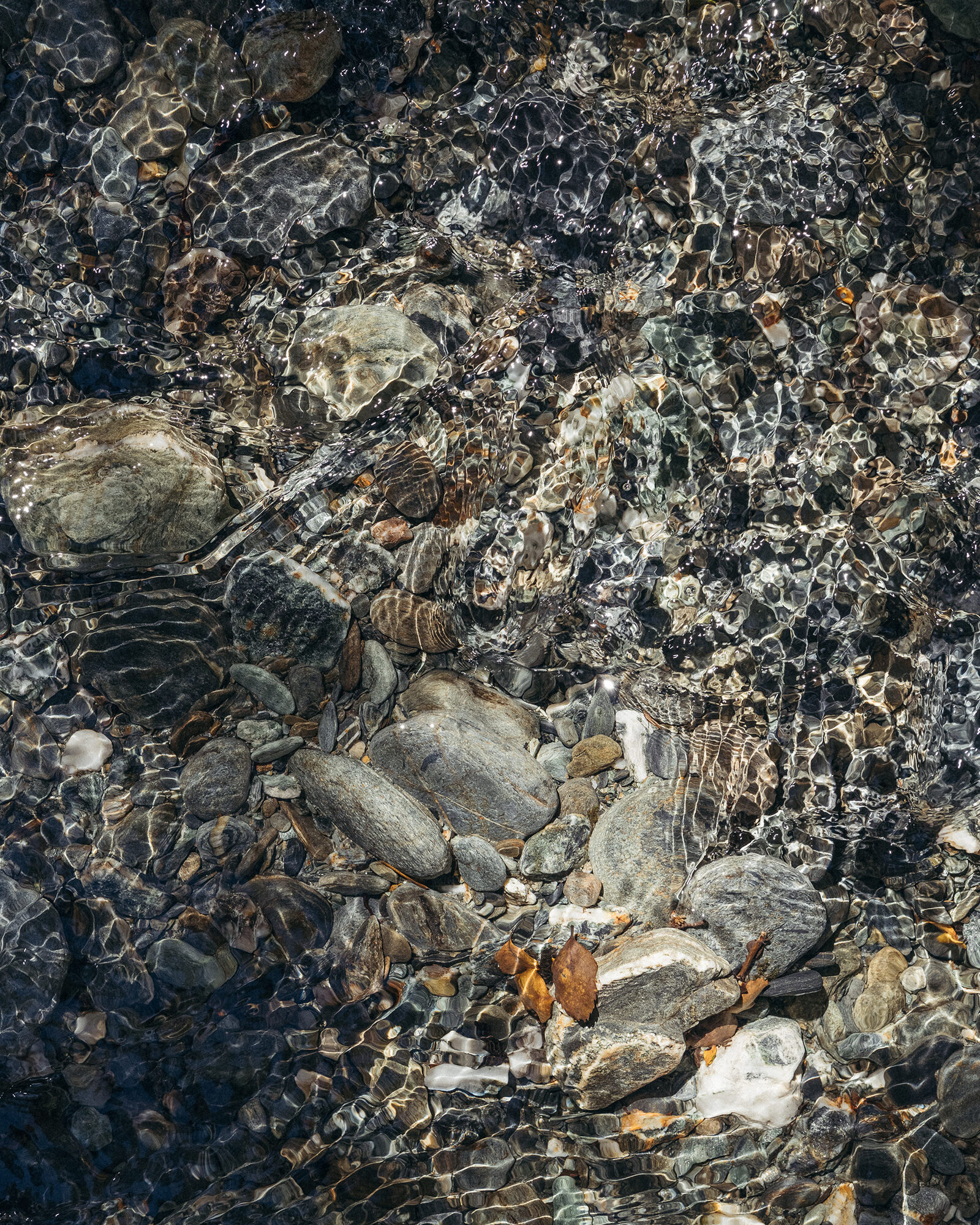 The Collective Force - Josh Griggs