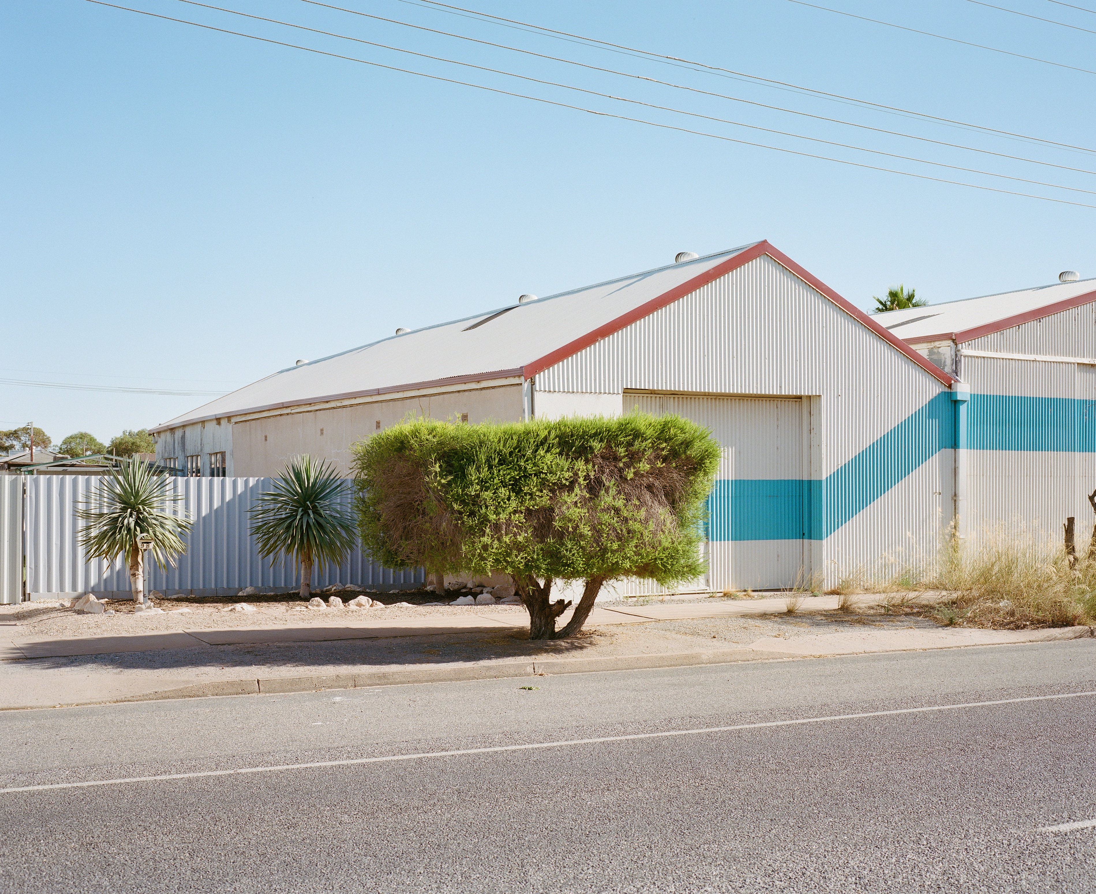 The Collective Force - Josh Griggs