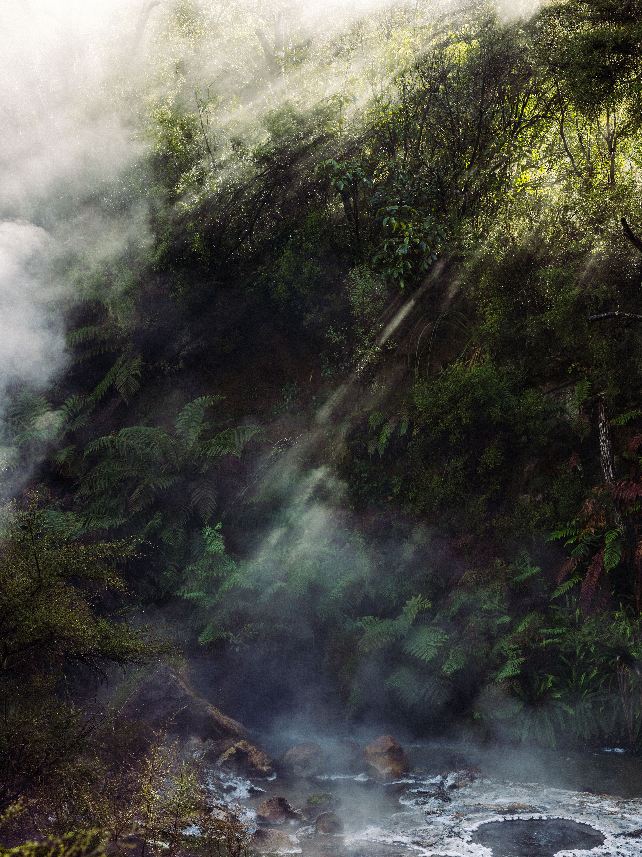 The Collective Force - Josh Griggs