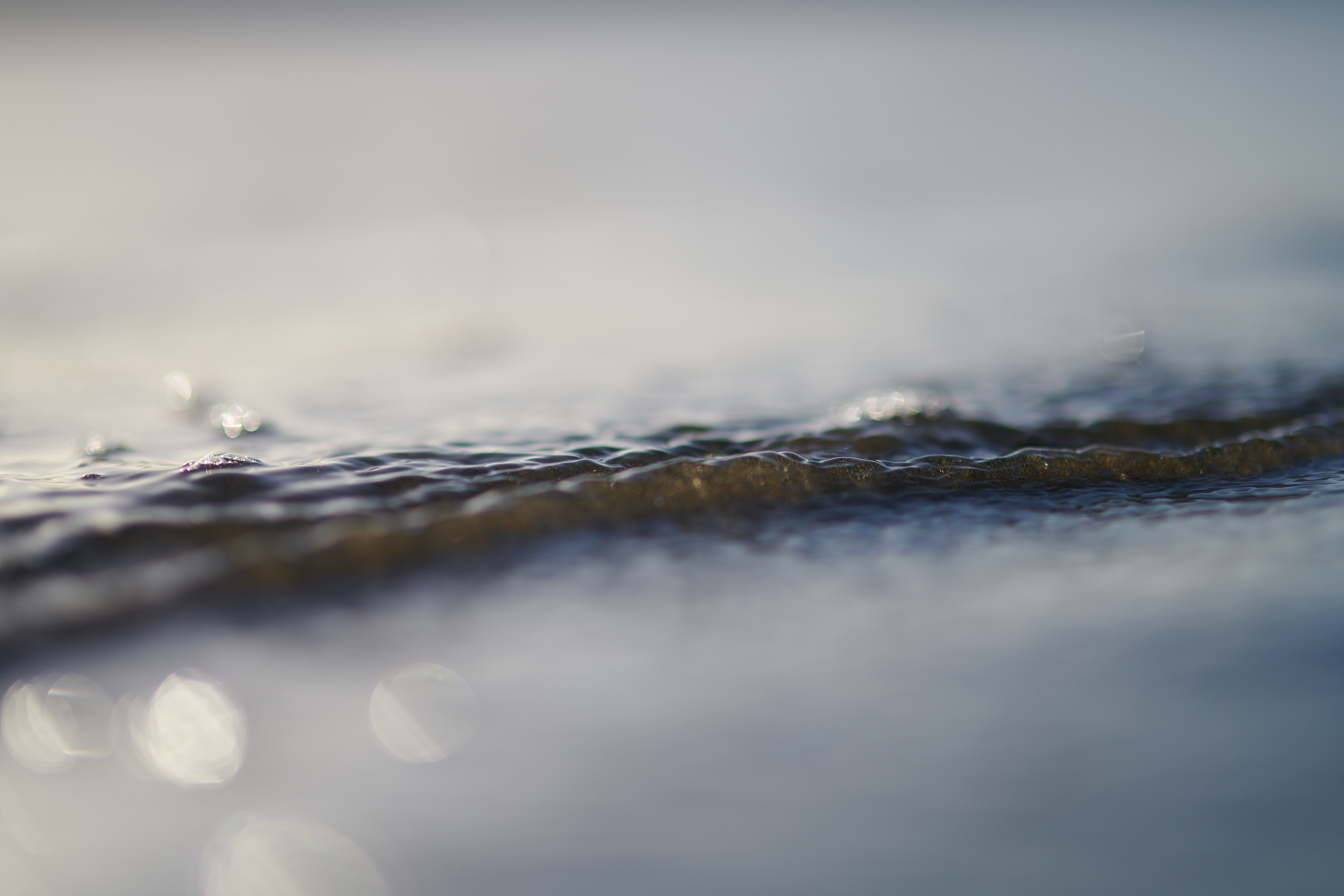 The Collective Force - Josh Griggs