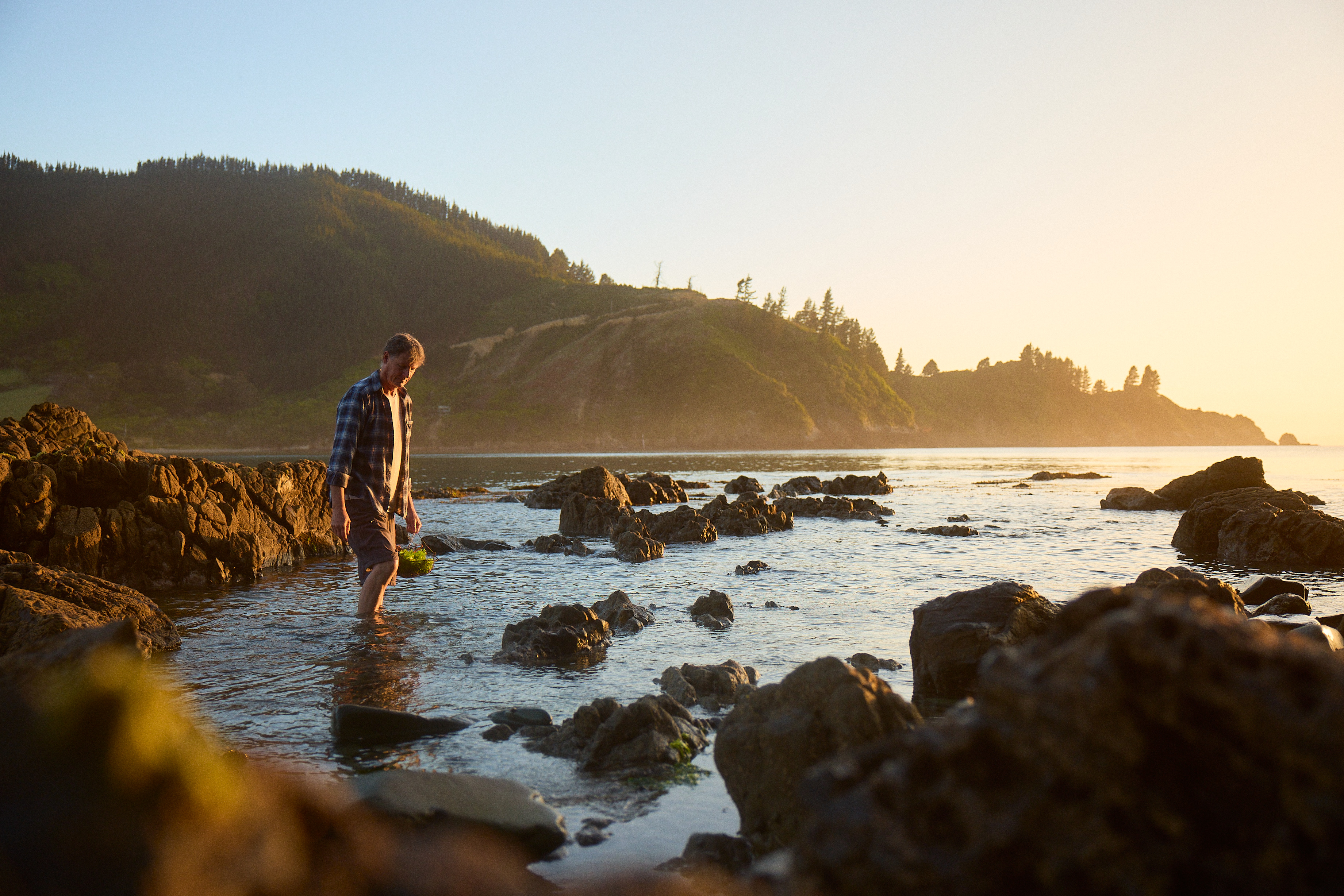 The Collective Force - Josh Griggs