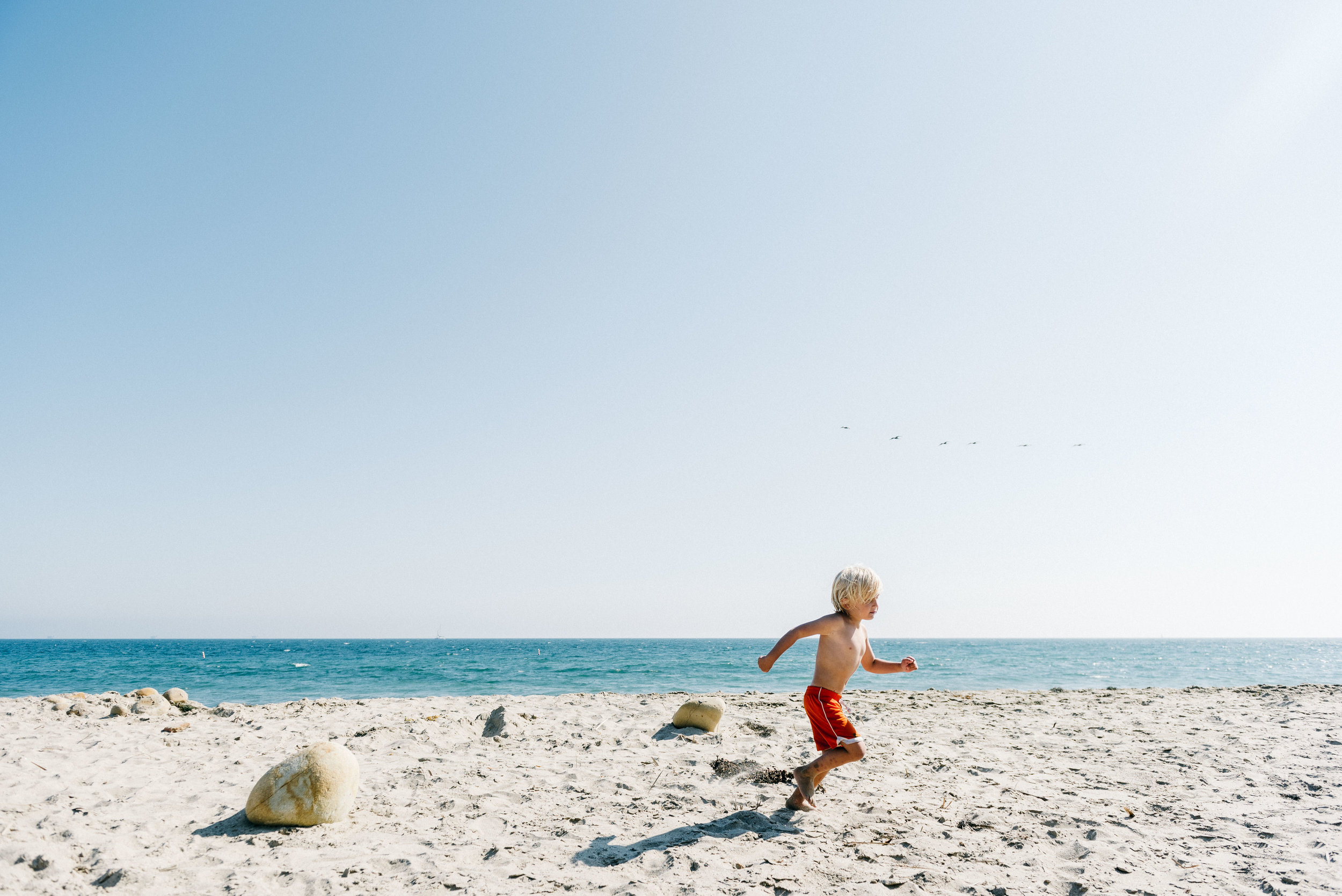 The Collective Force - Josh Griggs