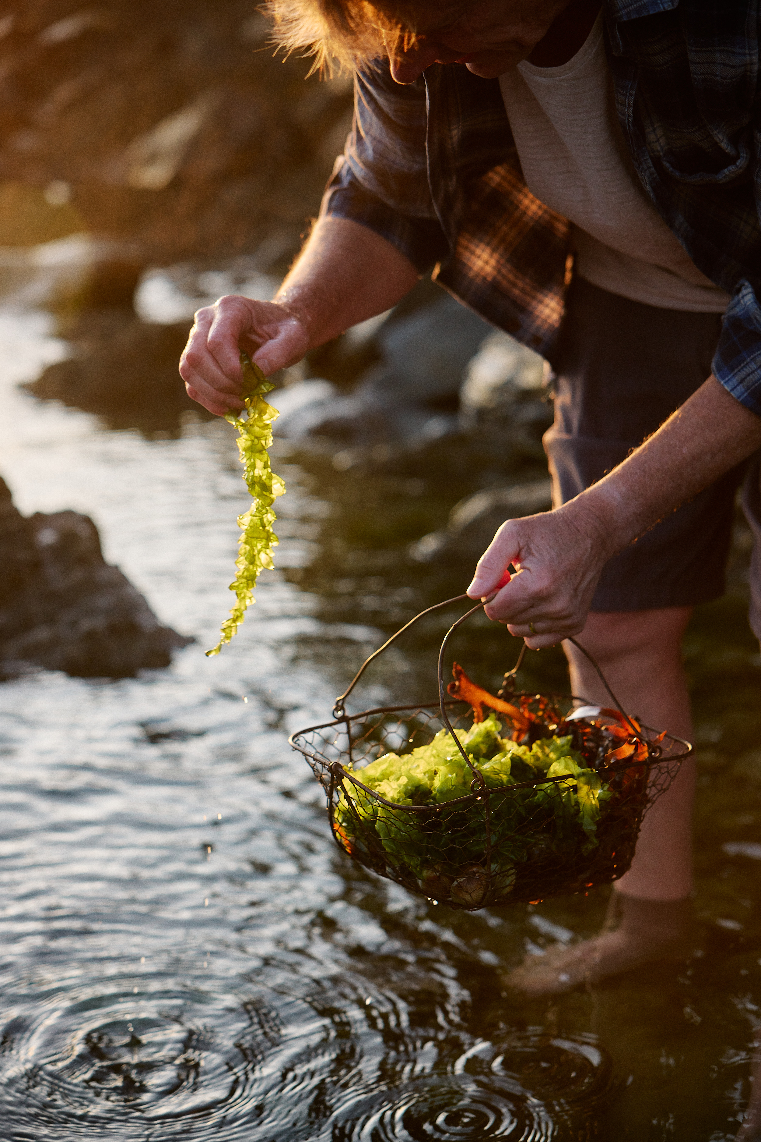 The Collective Force - Josh Griggs