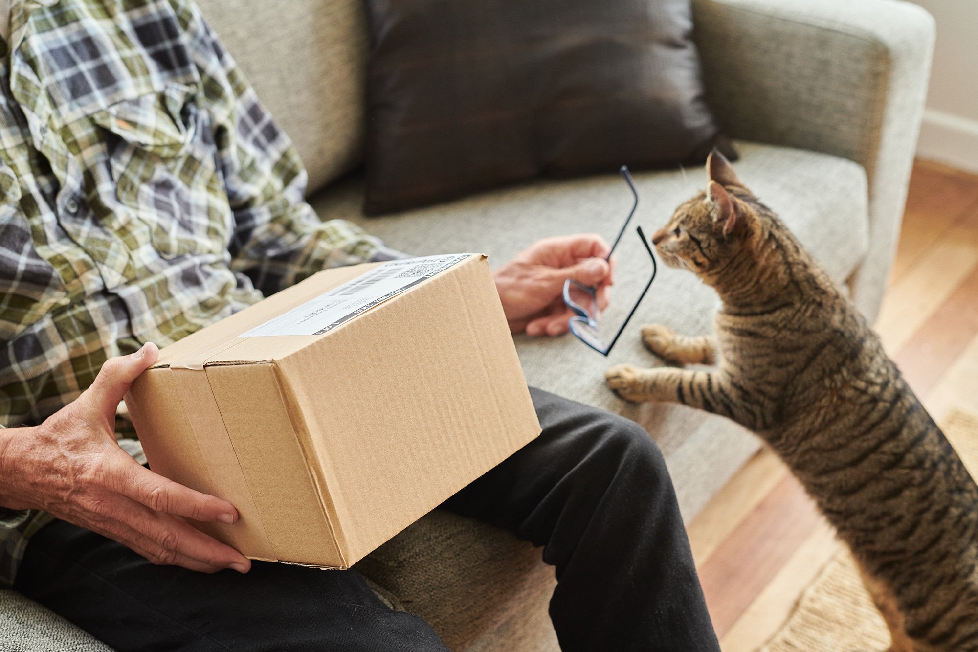 The Collective Force - New Zealand Post