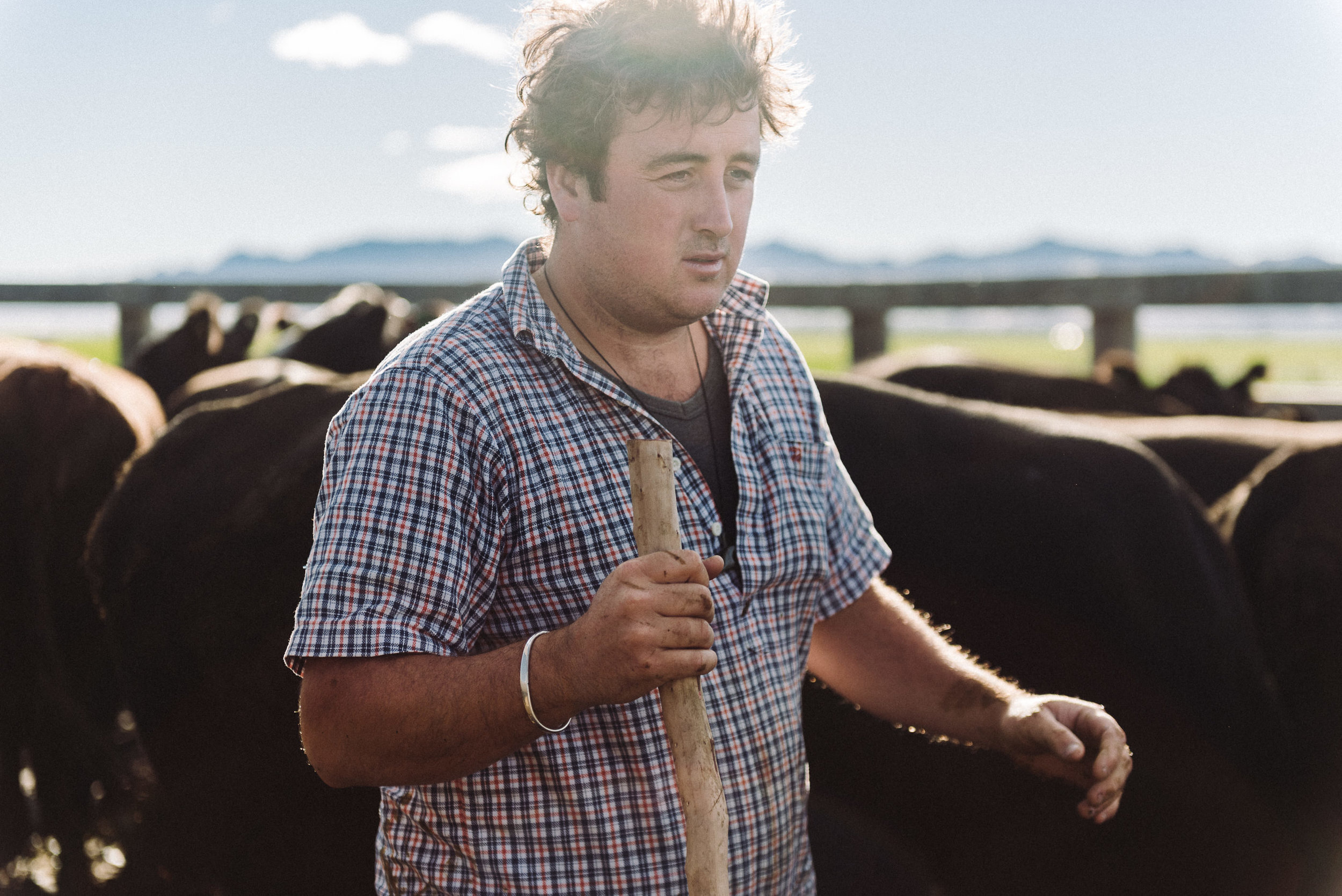 The Collective Force - Ngai Tahu Farms