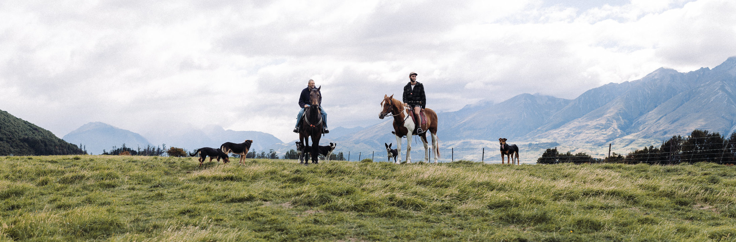 The Collective Force - Ngai Tahu Farms