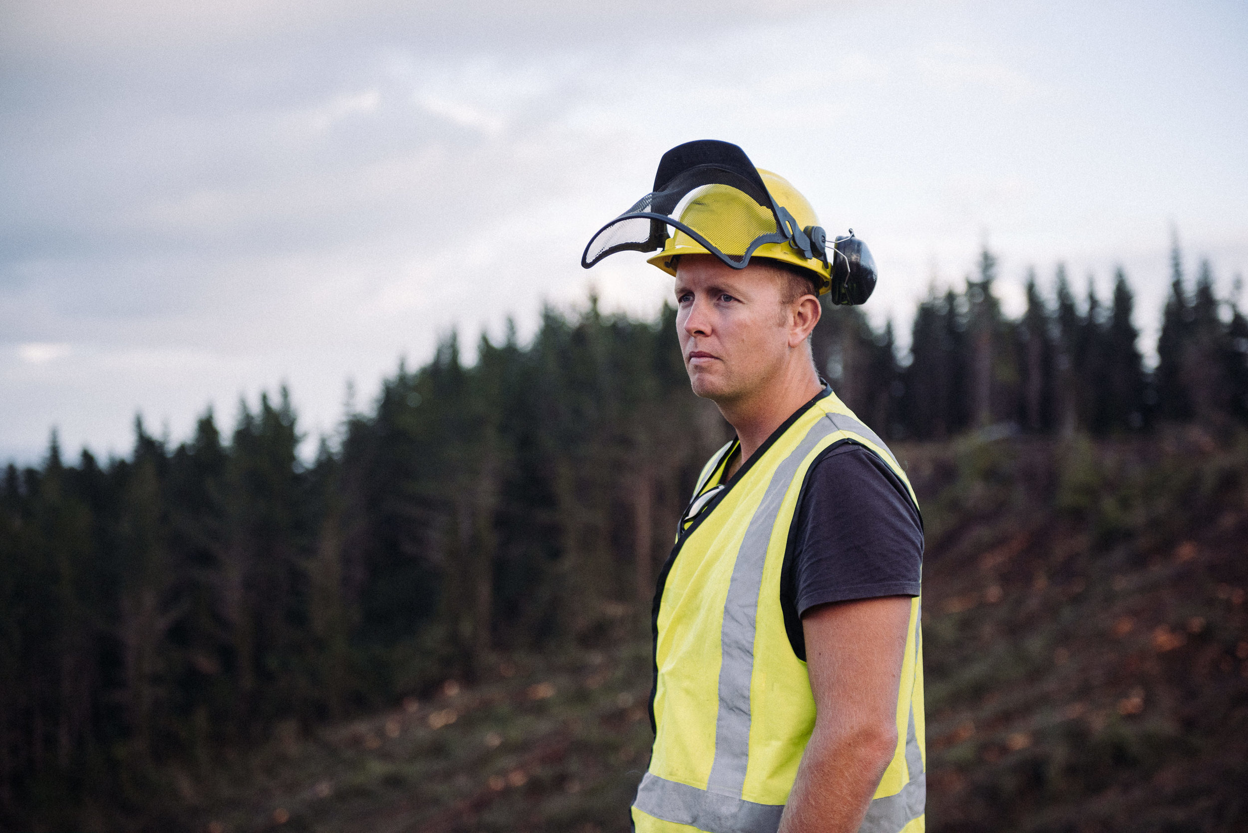 The Collective Force - Ngai Tahu Farms