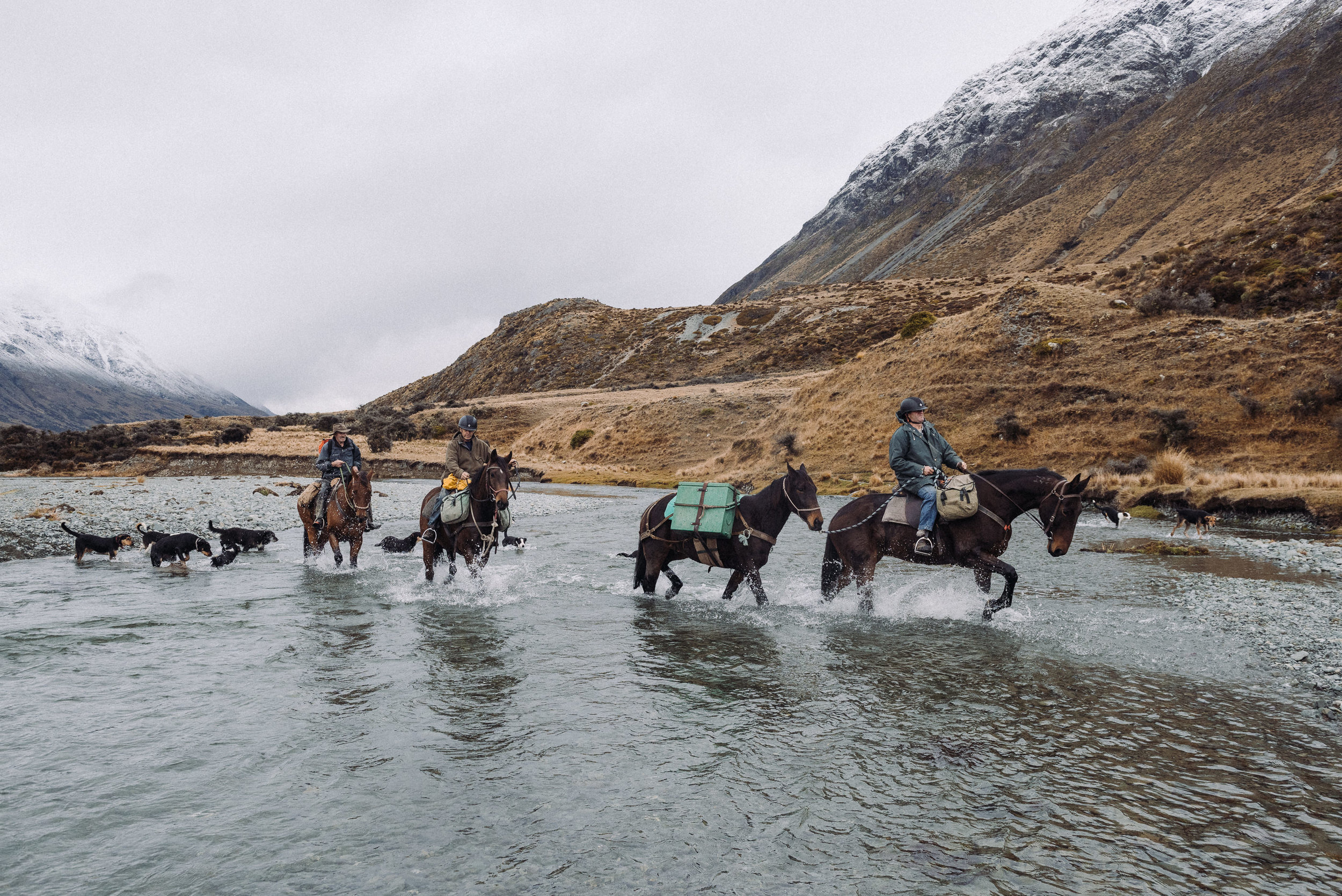 The Collective Force - Ngai Tahu Farms