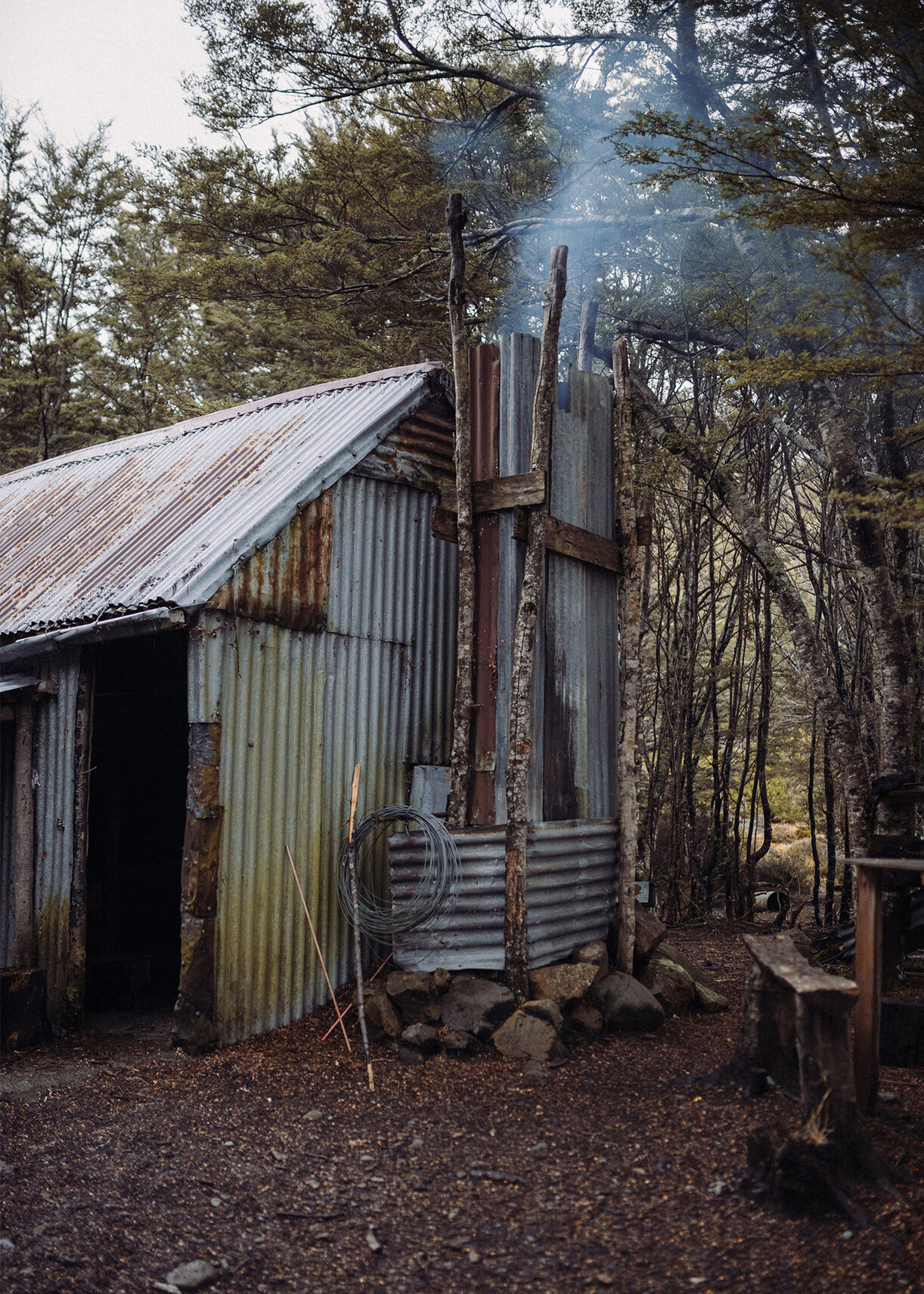 The Collective Force - Ngai Tahu Farms