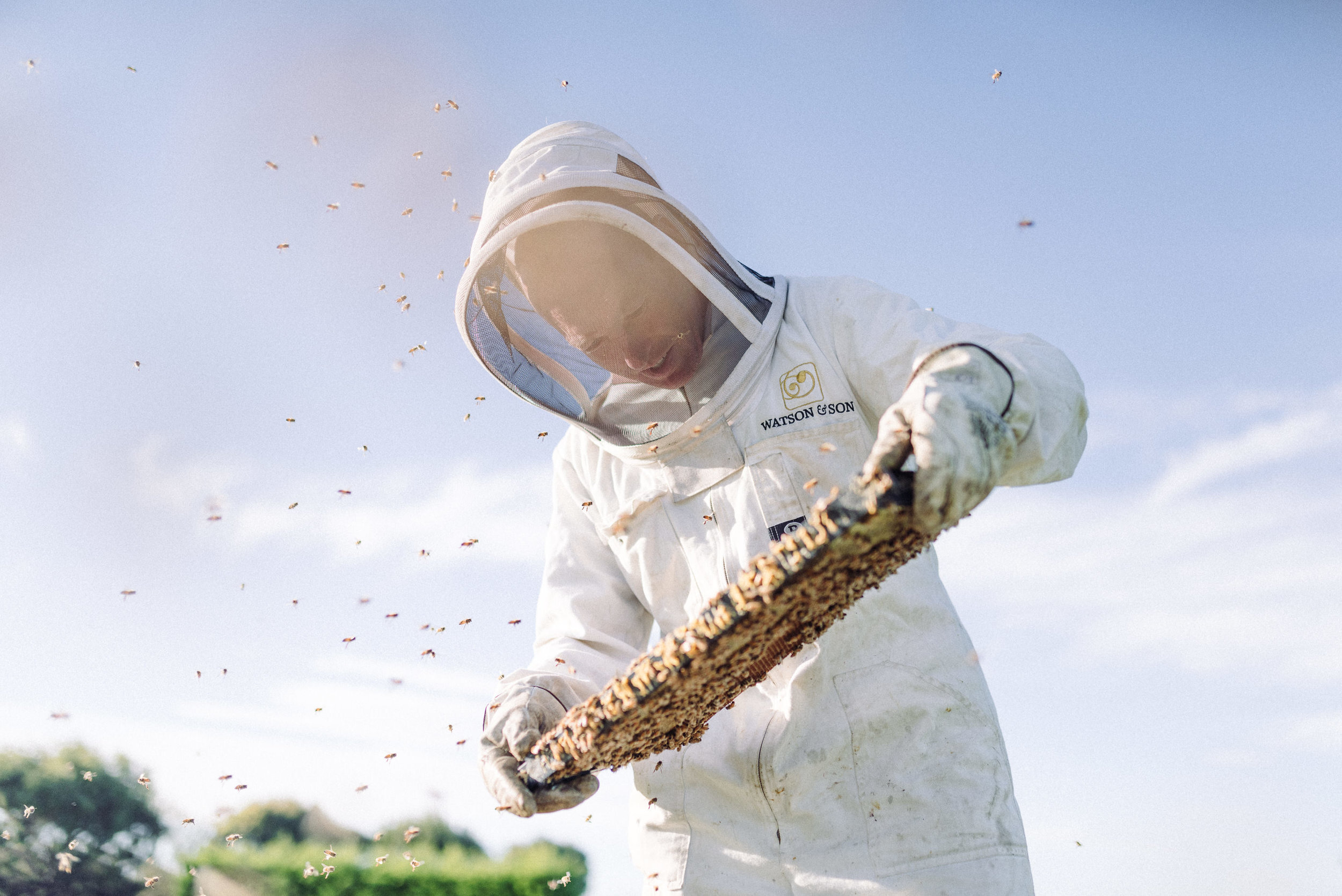 The Collective Force - Ngai Tahu Farms