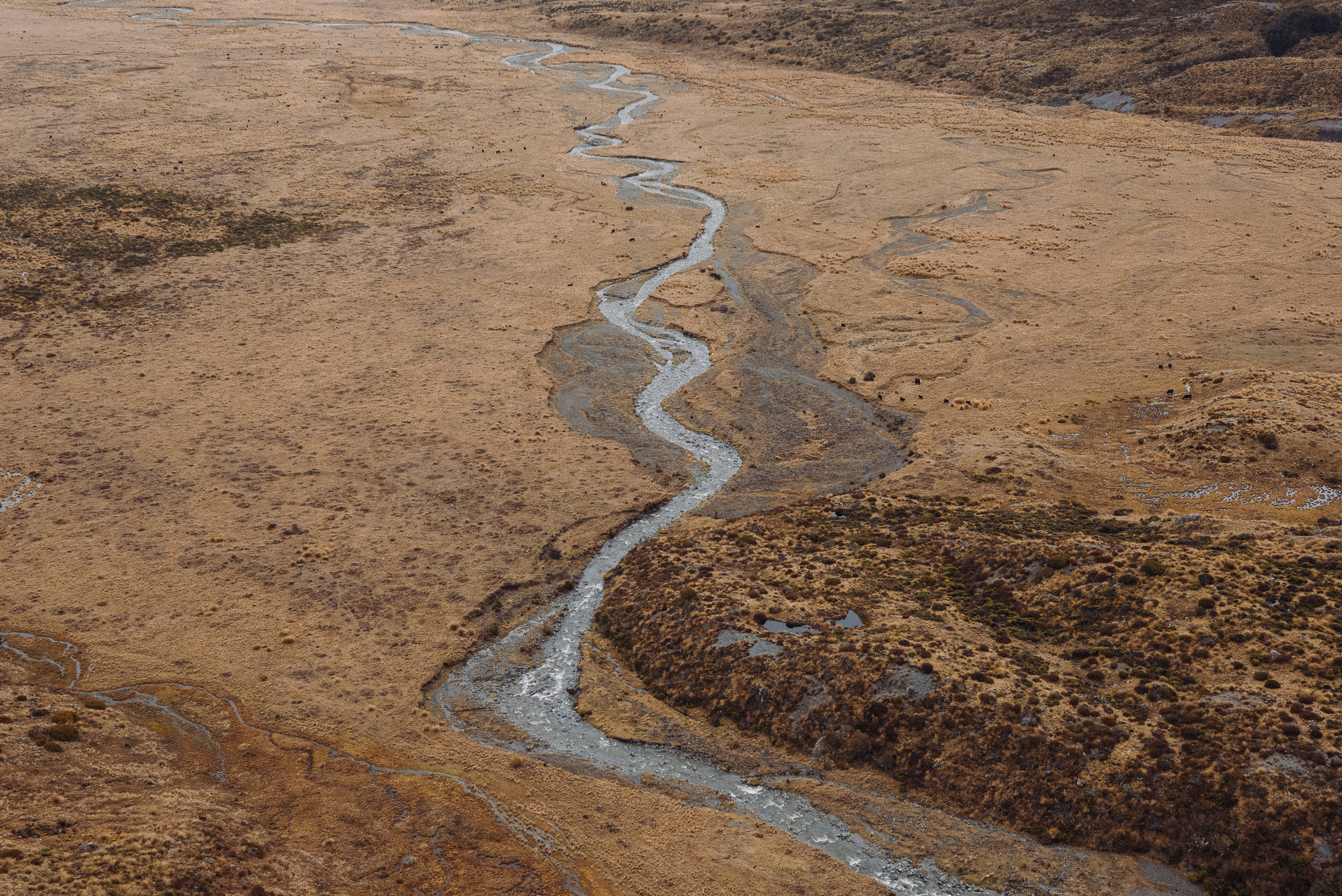 The Collective Force - Ngai Tahu Farms
