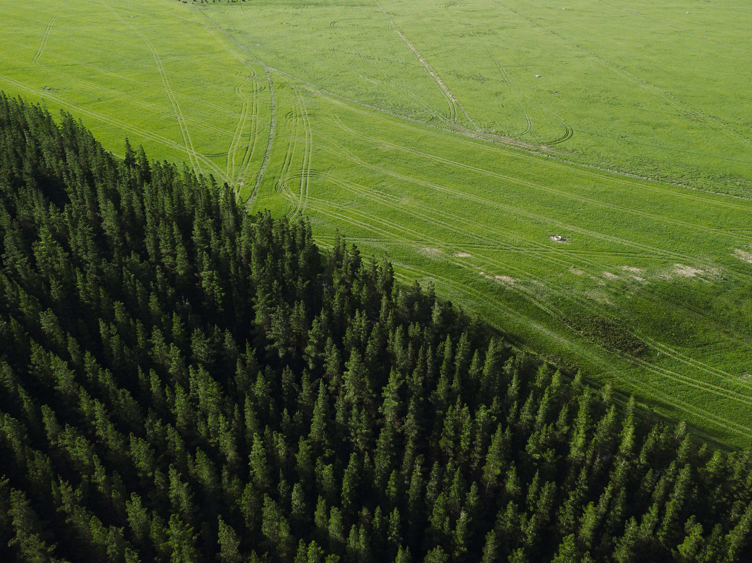 The Collective Force - Ngai Tahu Farms