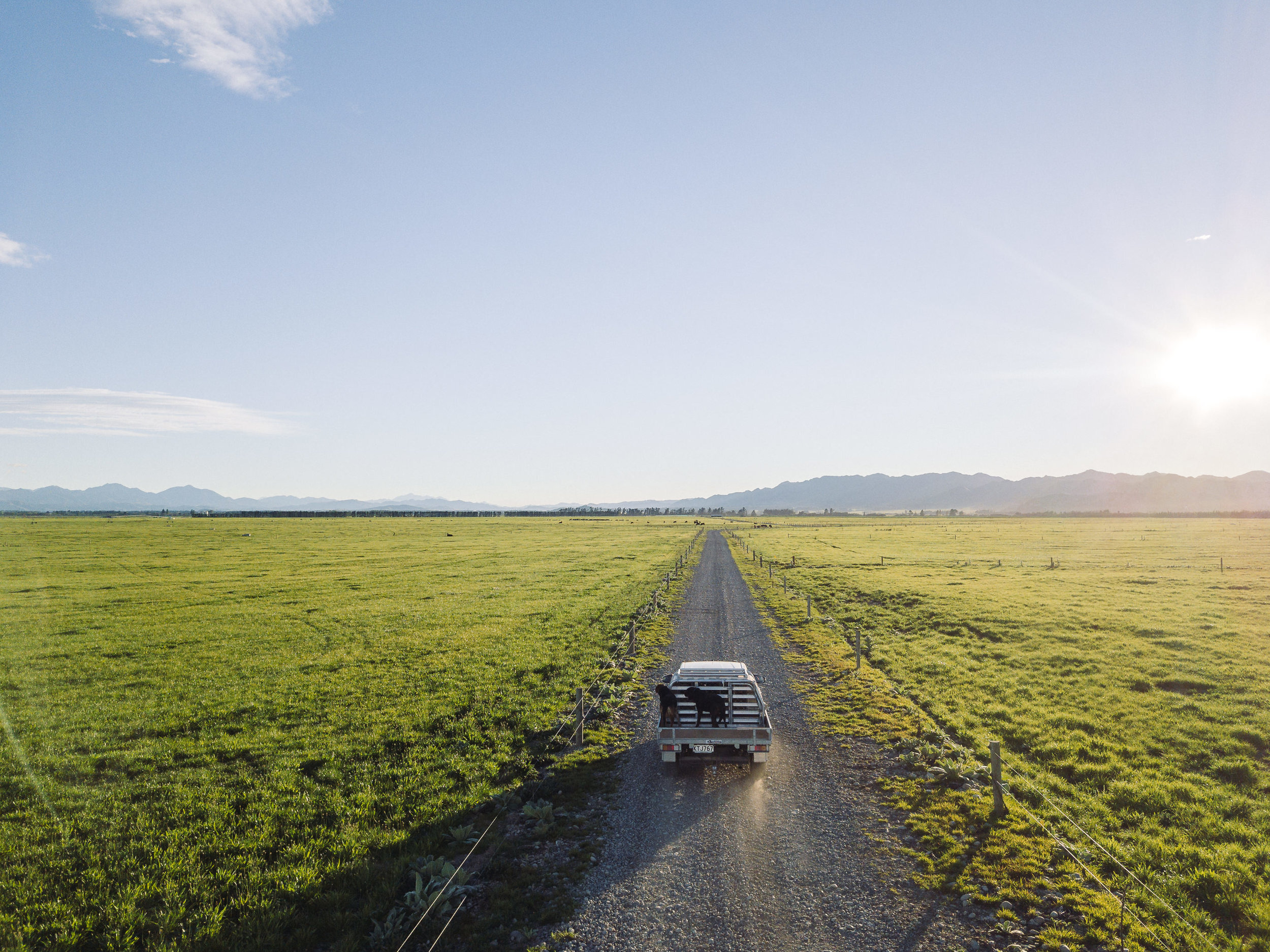 The Collective Force - Ngai Tahu Farms