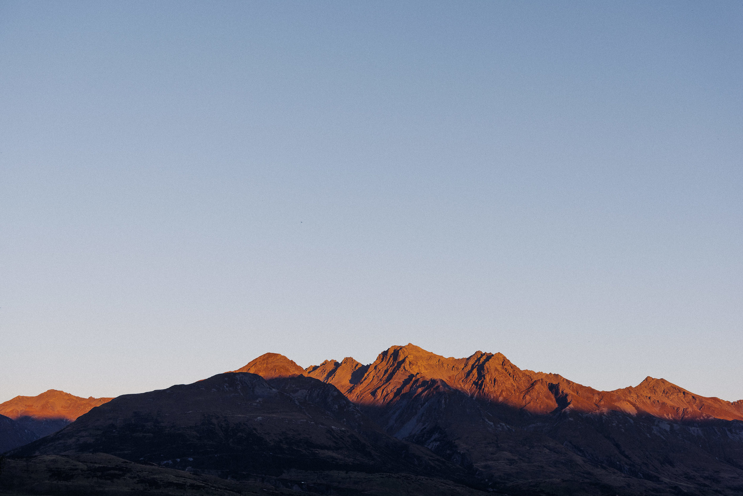 The Collective Force - Ngai Tahu Farms