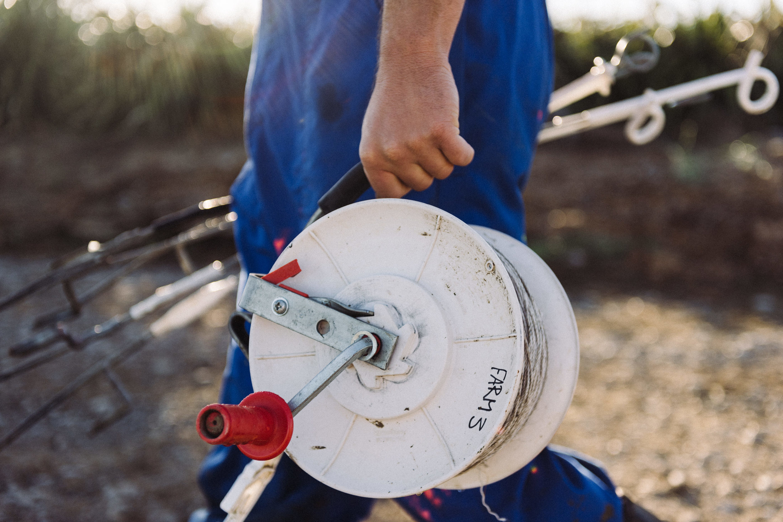 The Collective Force - Ngai Tahu Farms