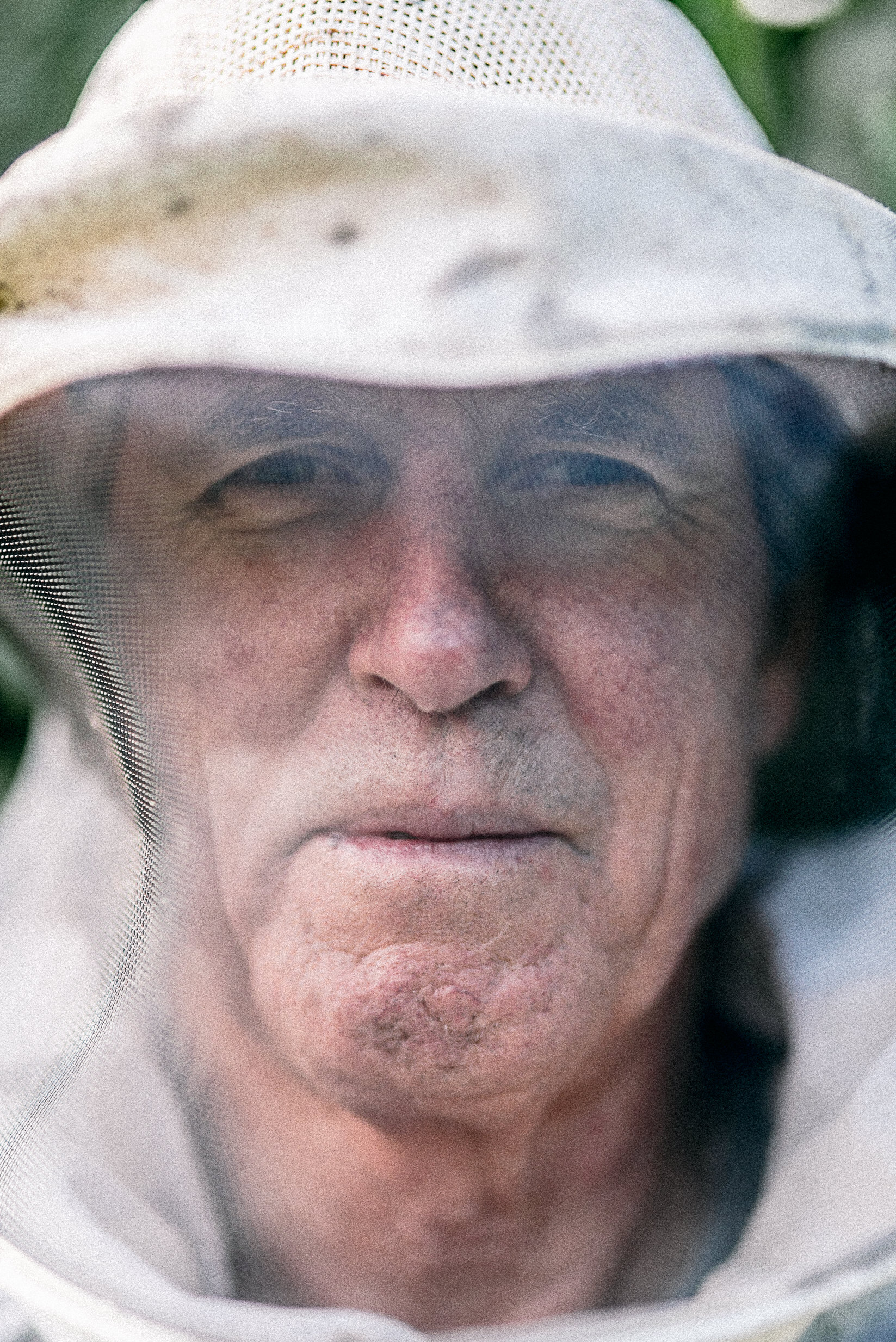 The Collective Force - Overview