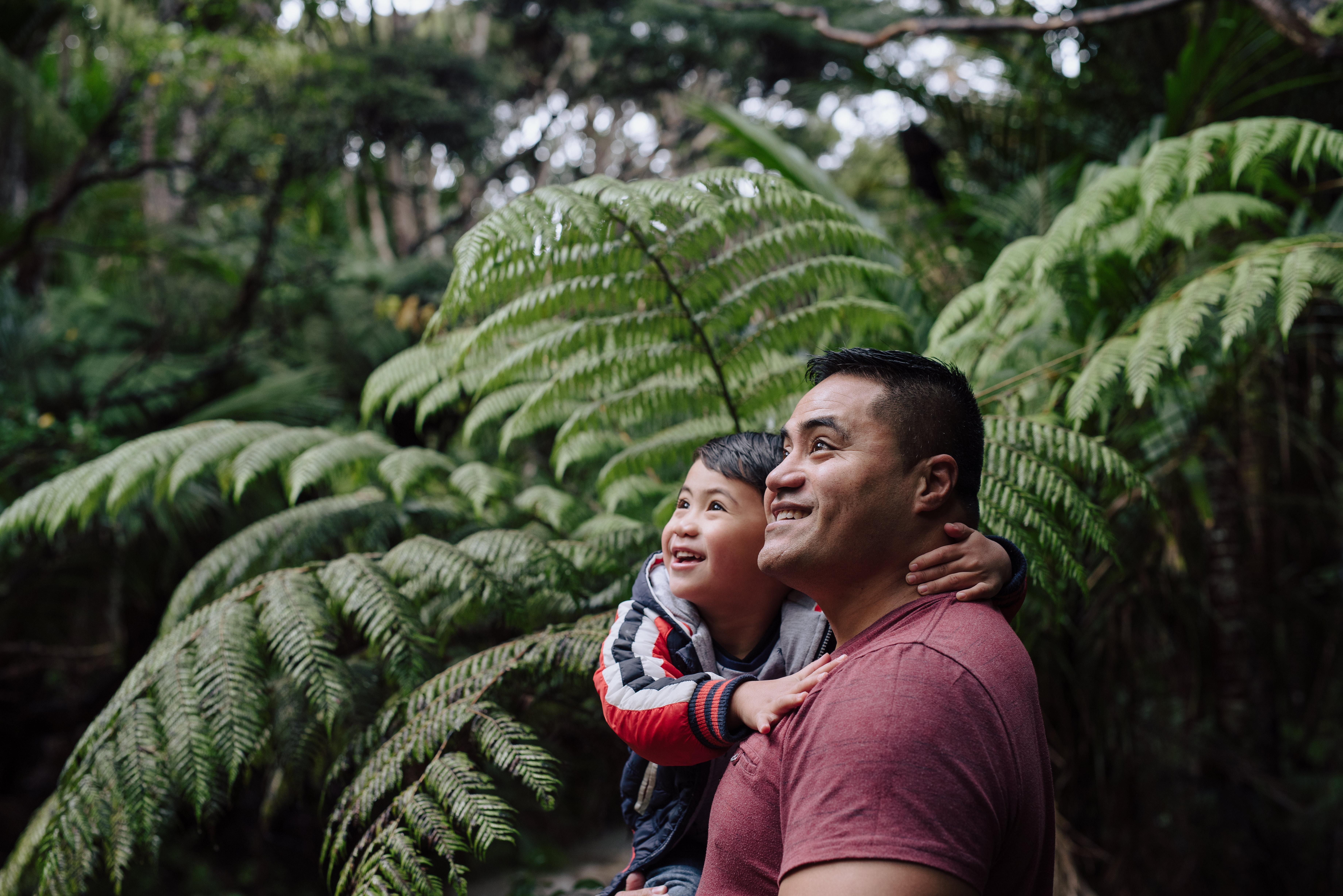 The Collective Force - Overview