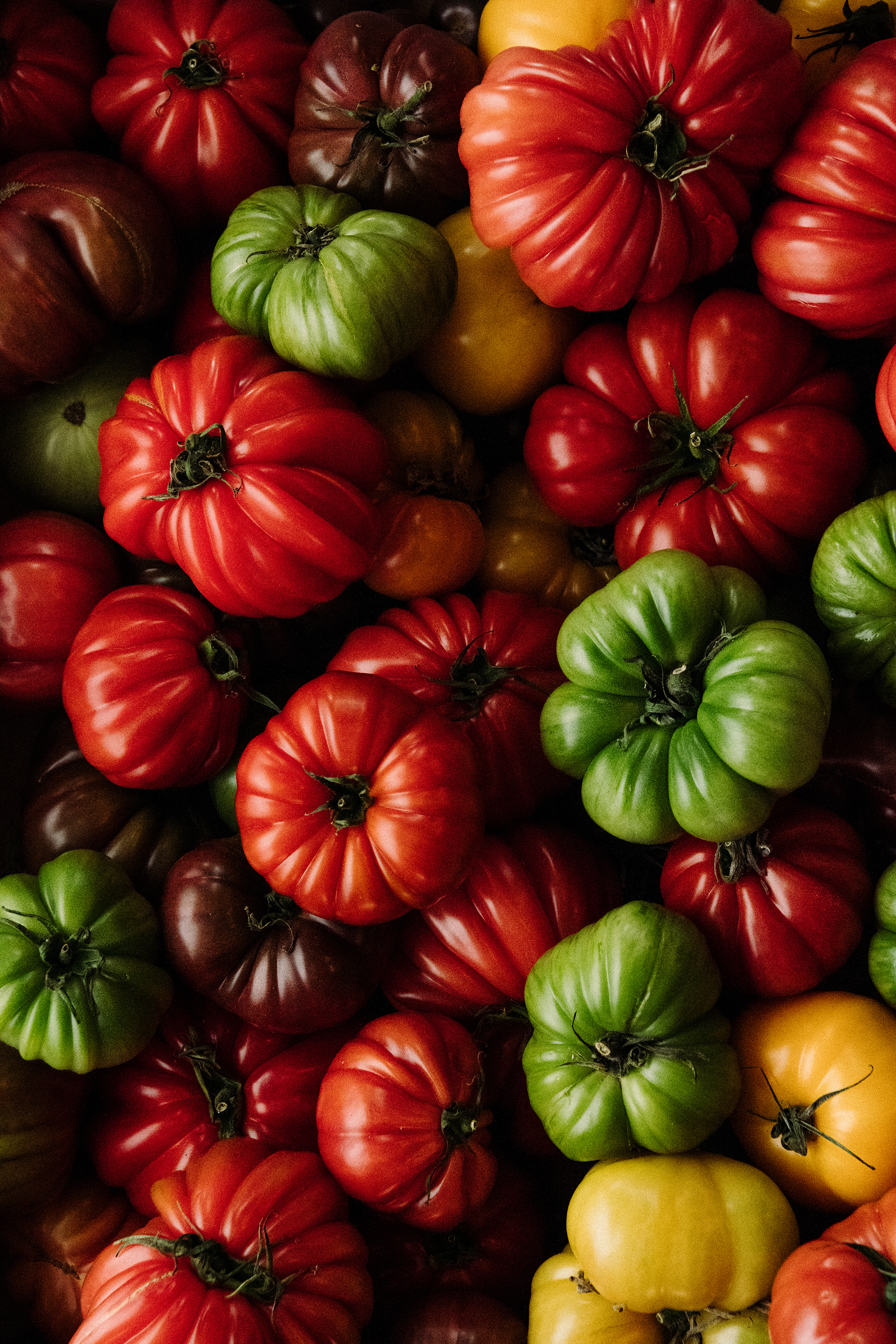 The Collective Force - Overview