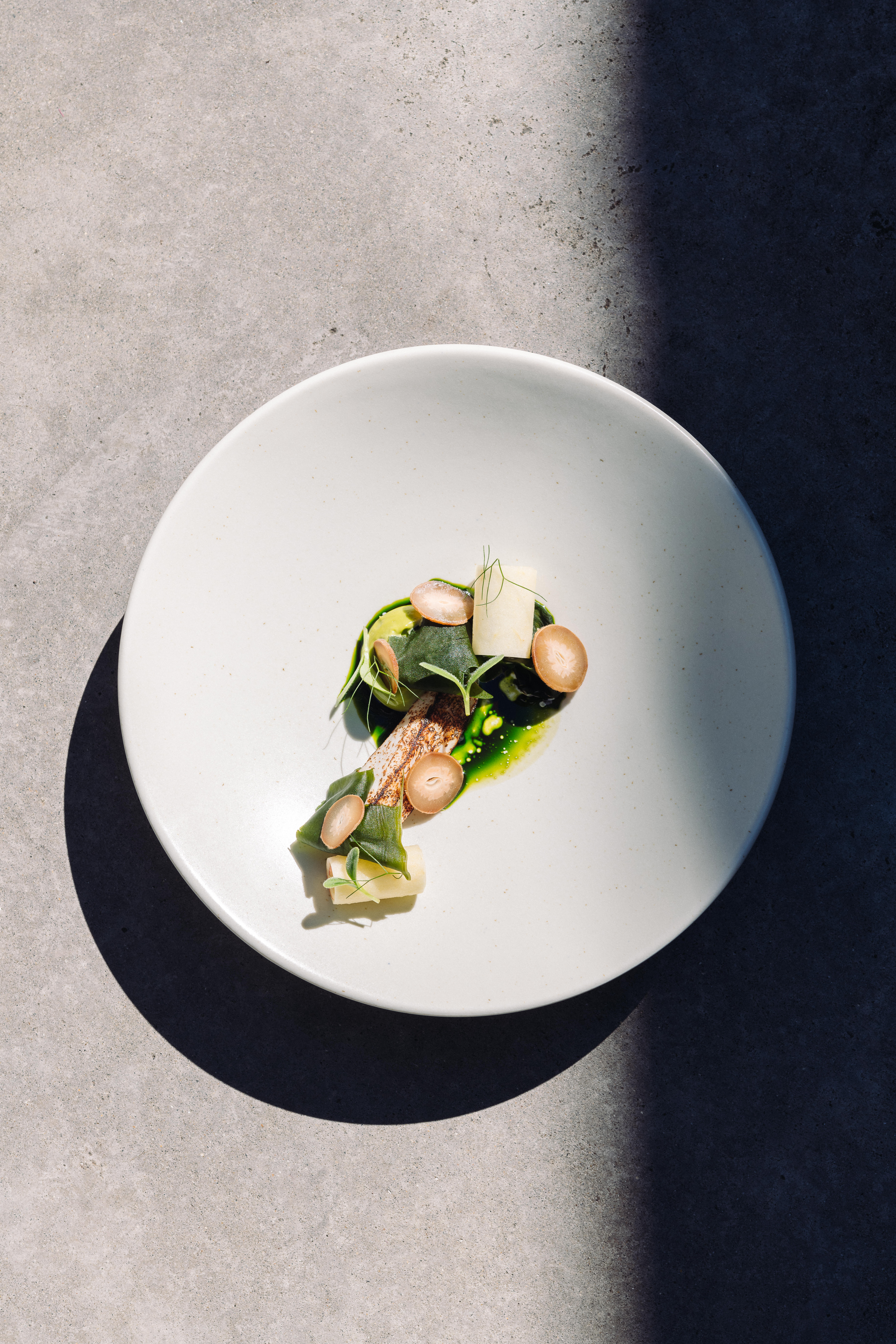 The Collective Force - Overview