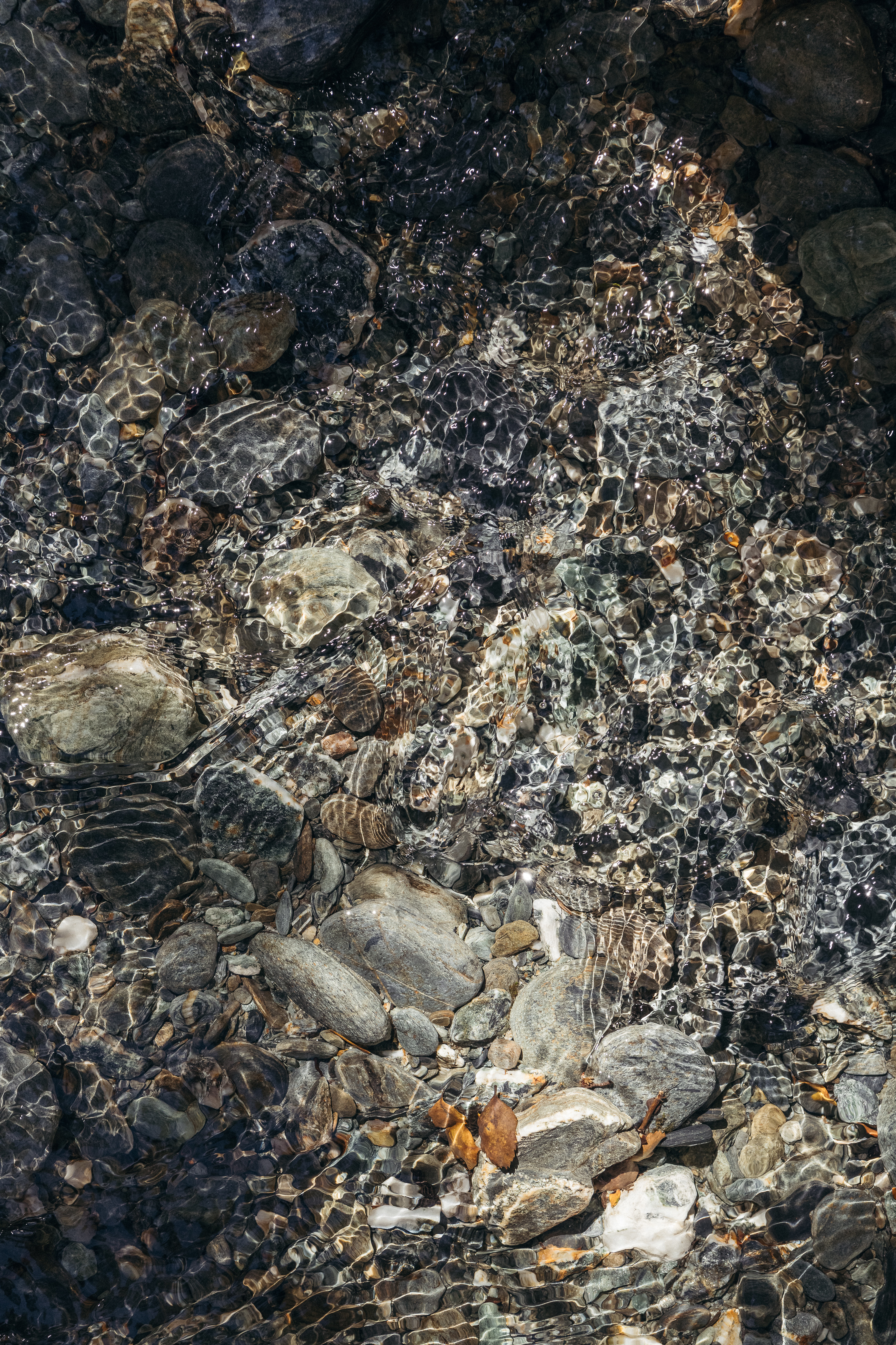 The Collective Force - Overview