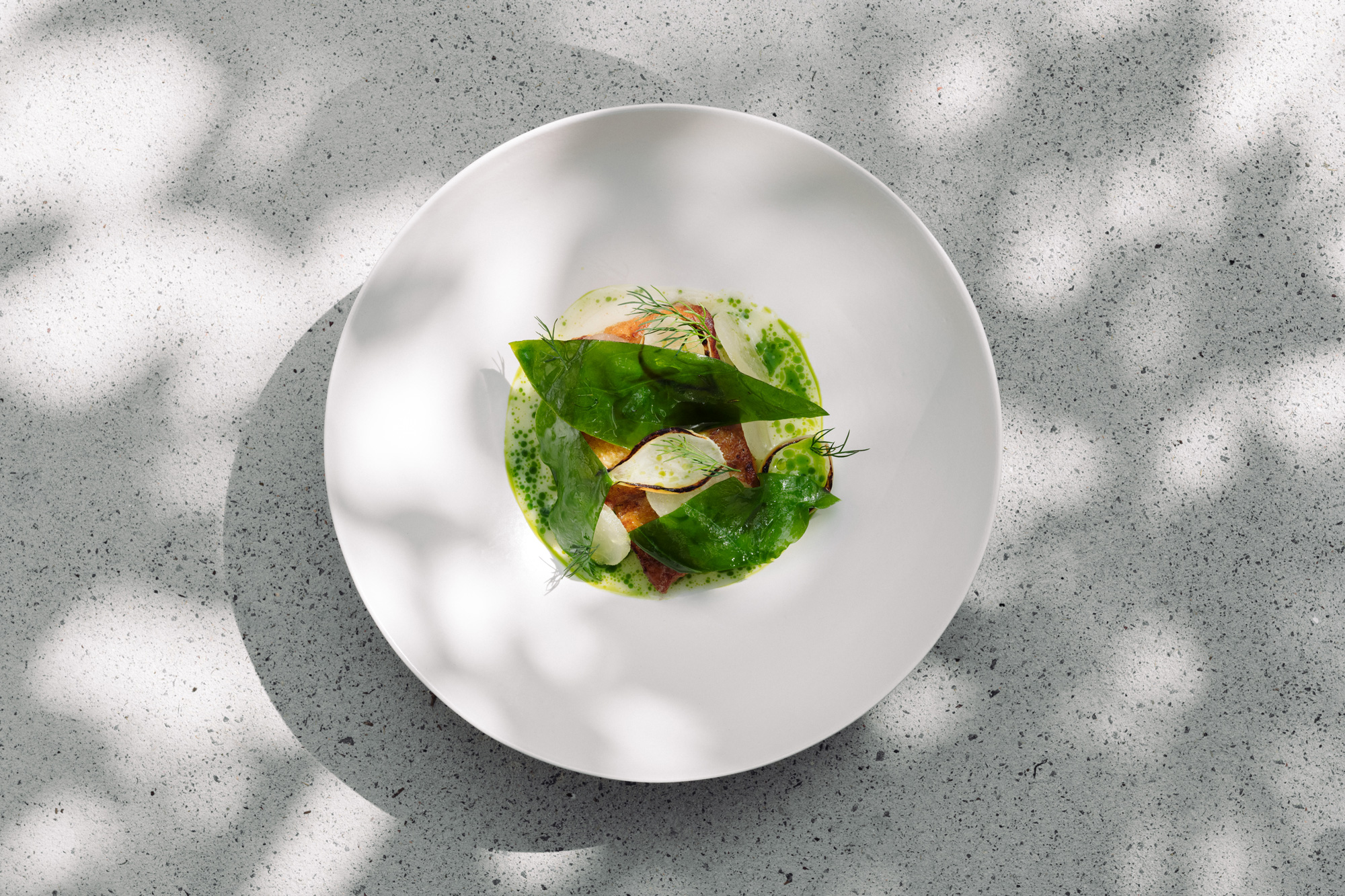 The Collective Force - Overview