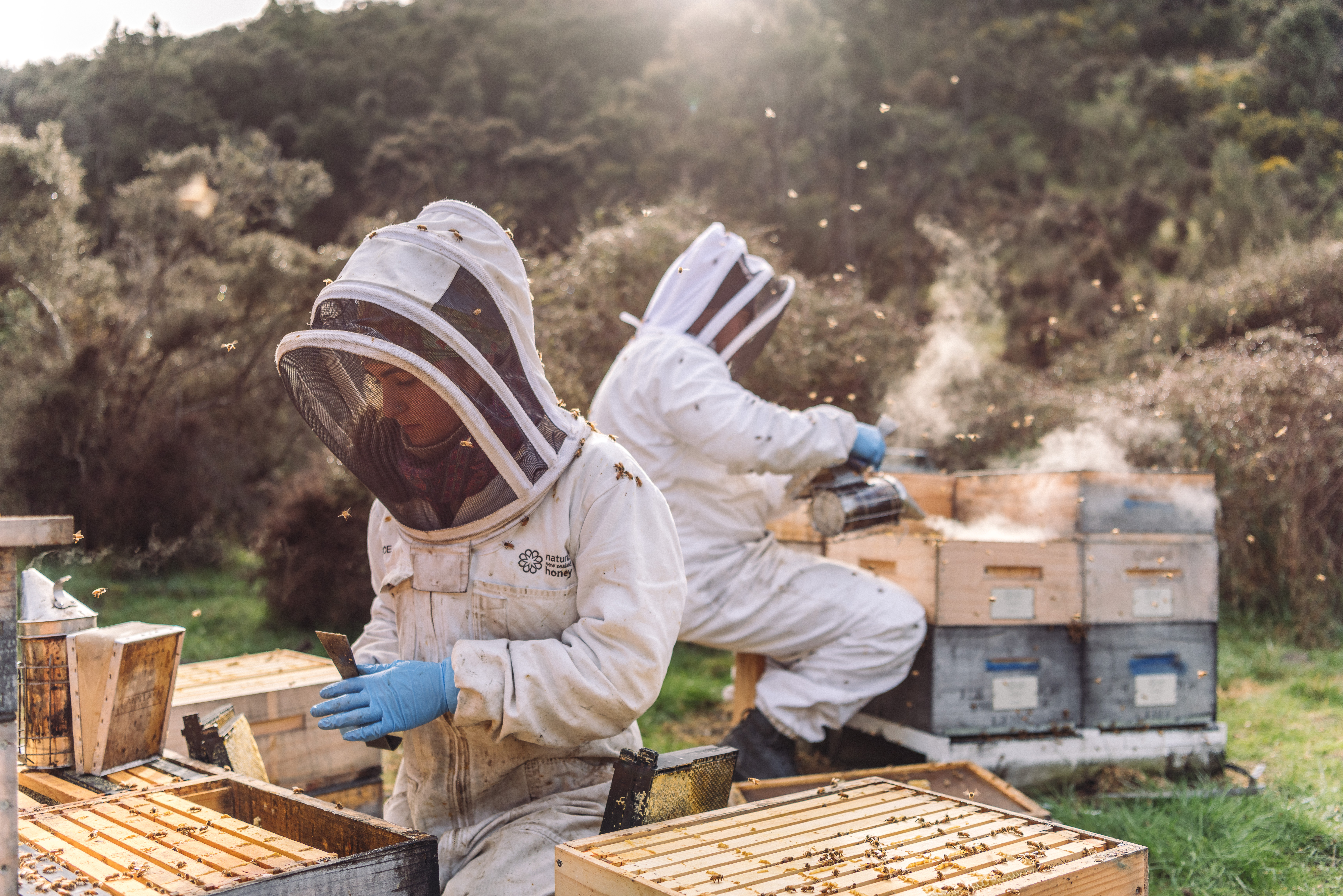 The Collective Force - Overview