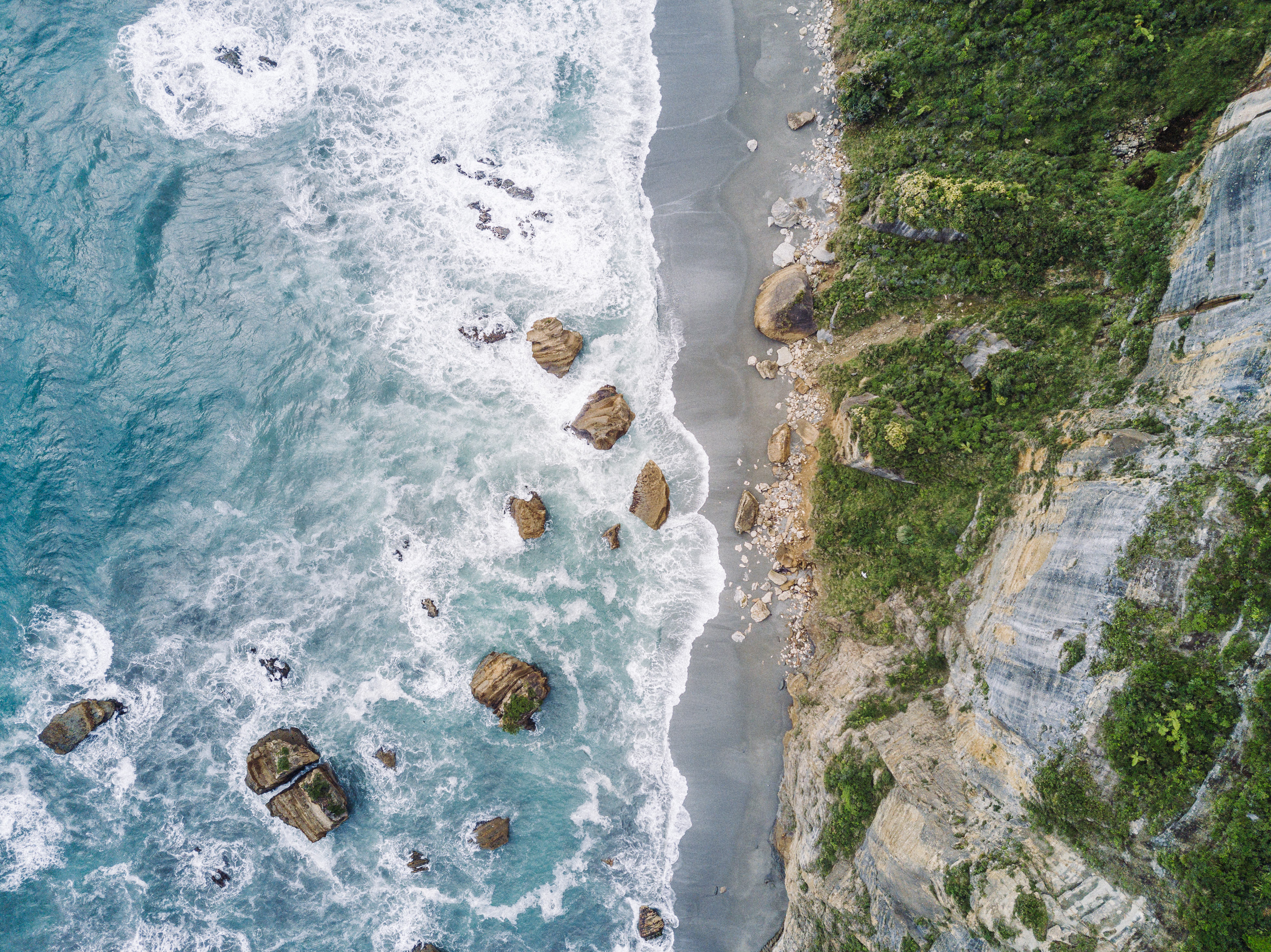 The Collective Force - Overview