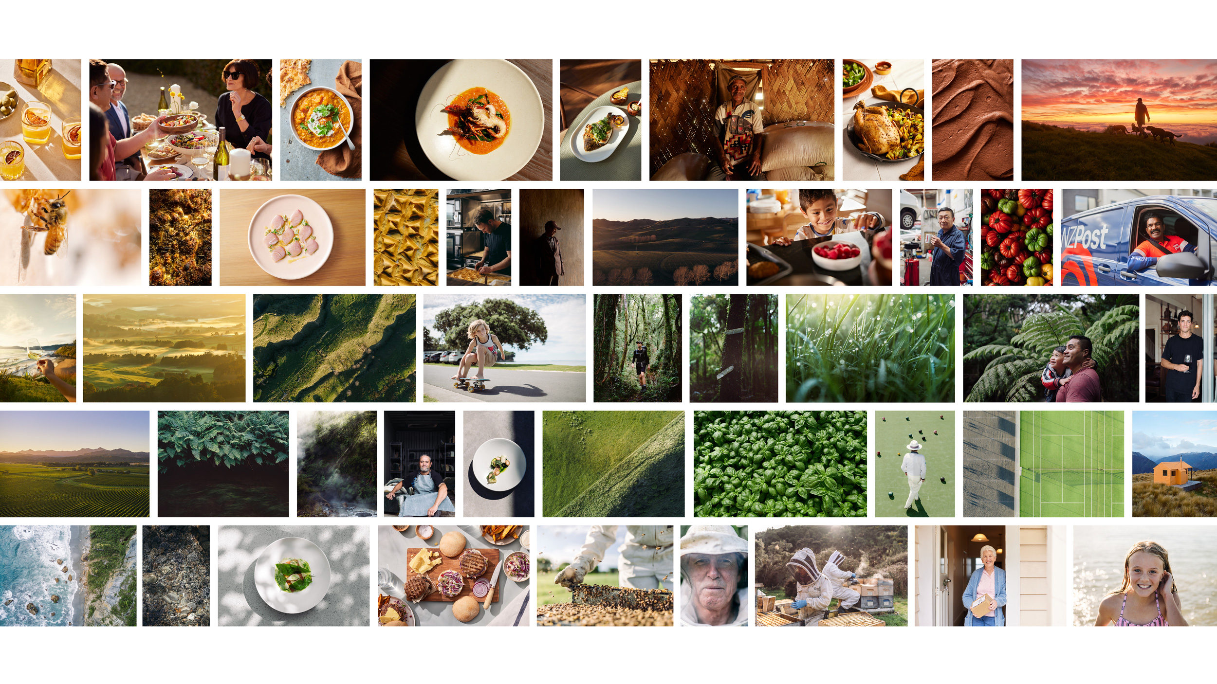 The Collective Force - Overview