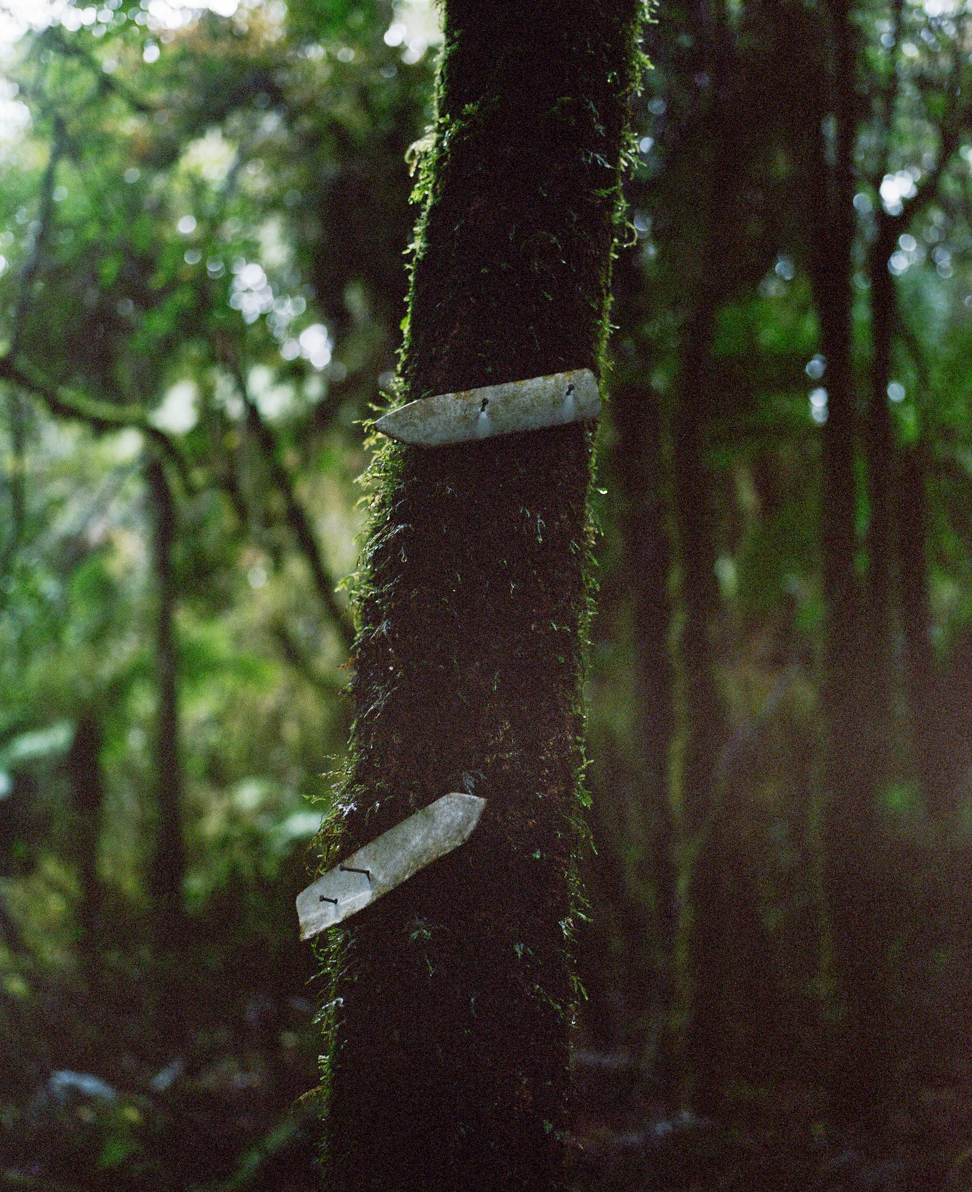 The Collective Force - Overview