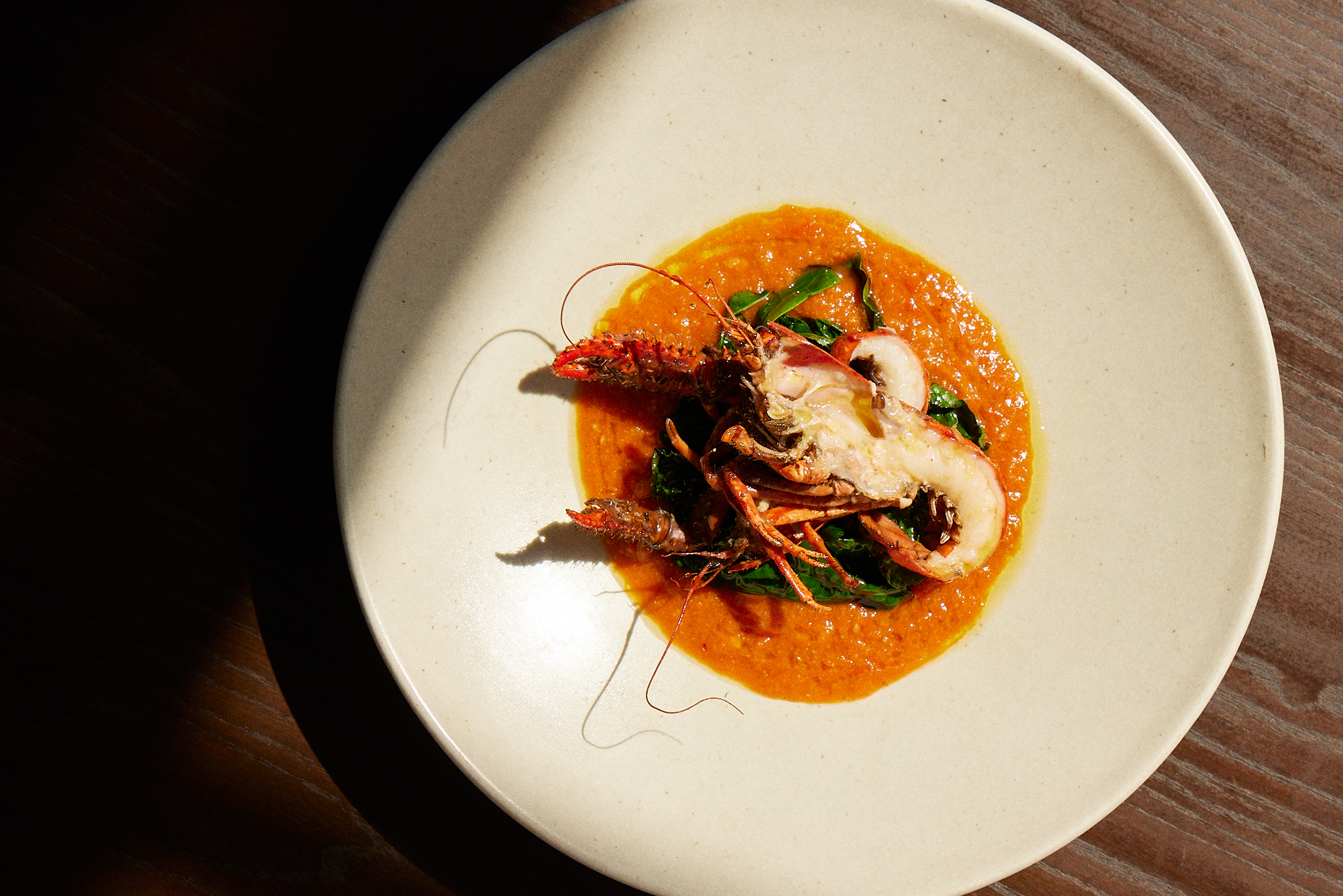 The Collective Force - Overview