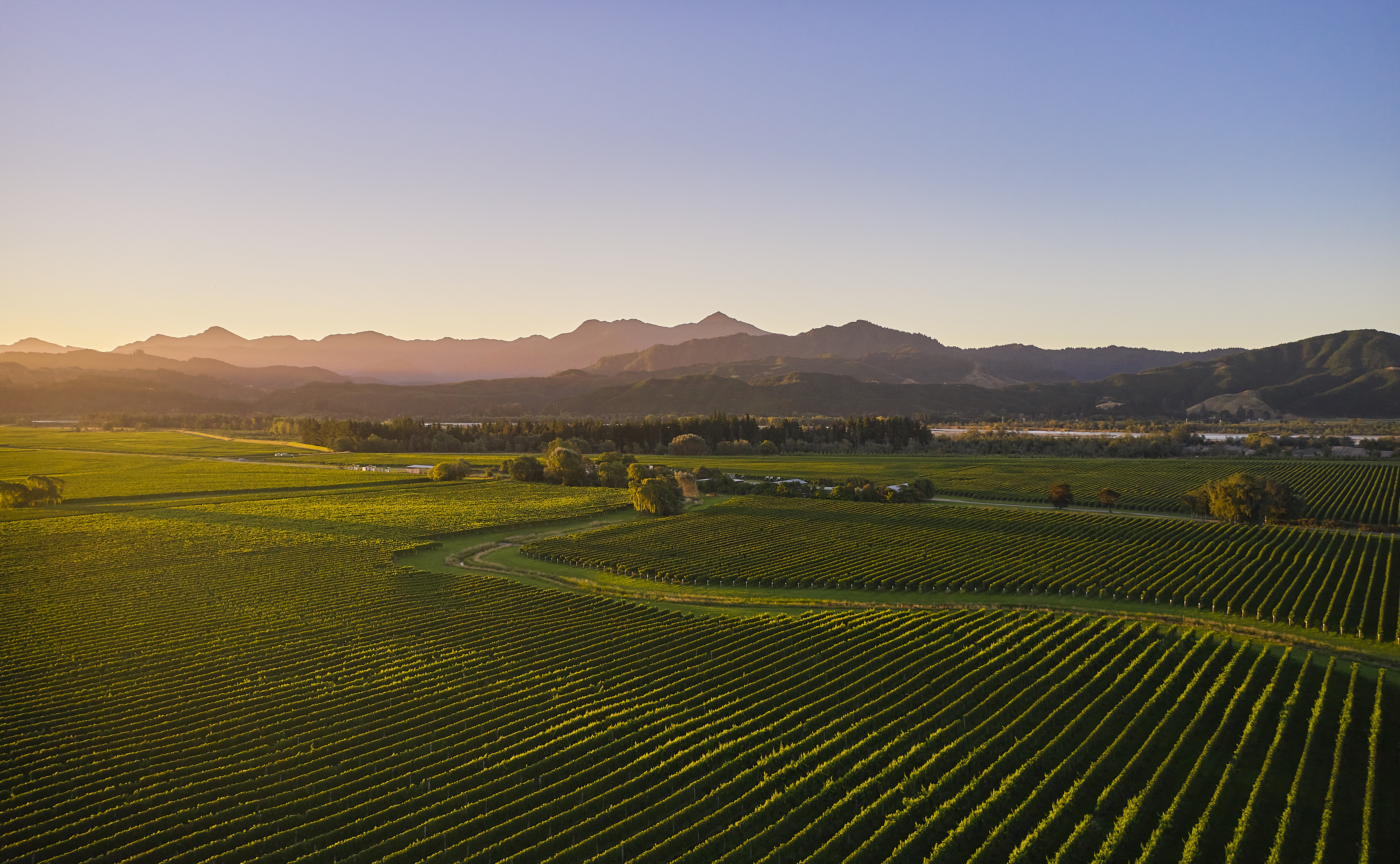 The Collective Force - Overview