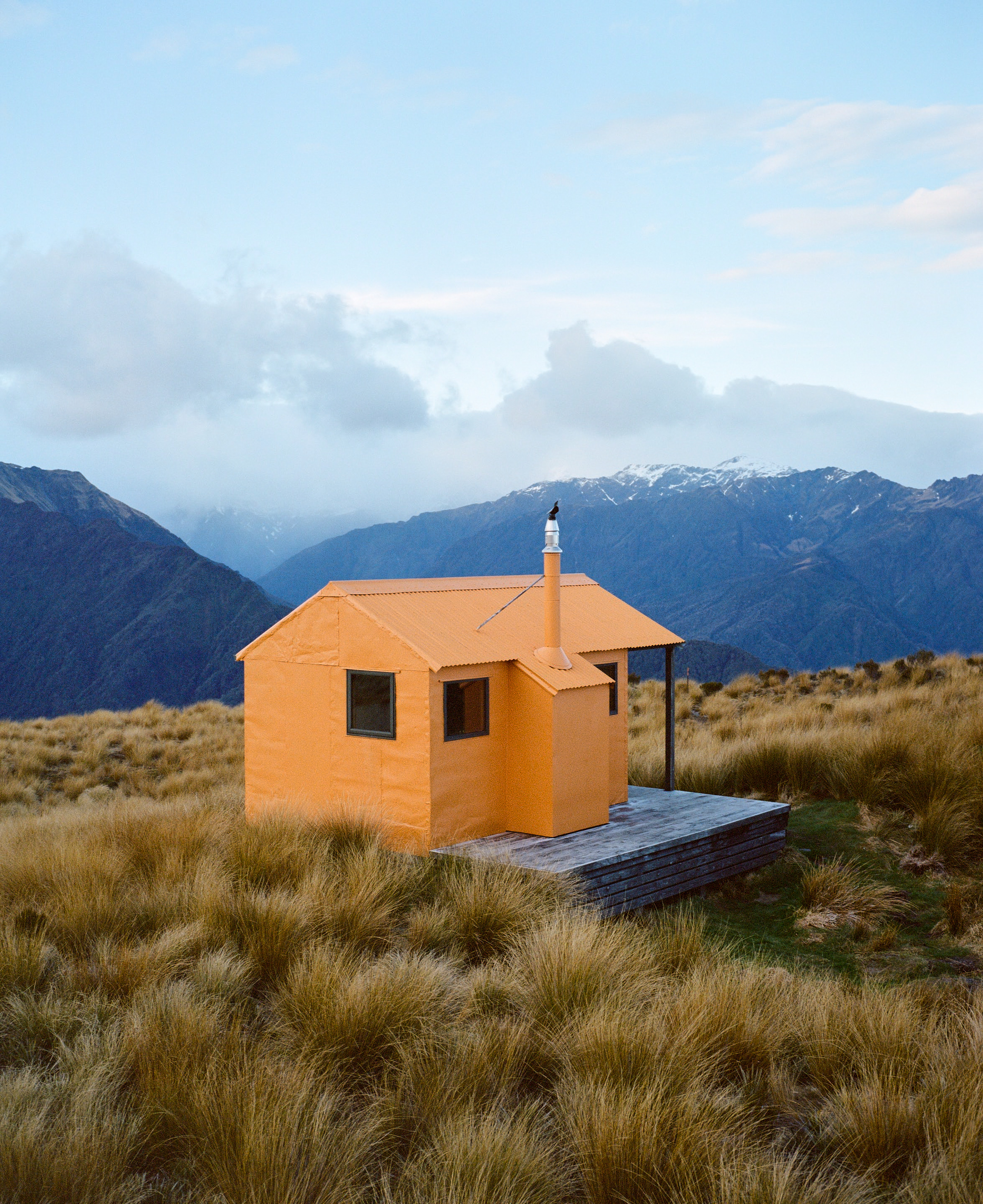 The Collective Force - Overview